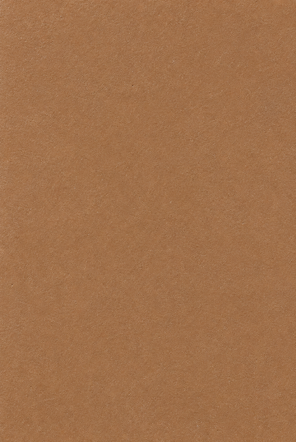 Arqen Brown Microconcrete Shoe Cabinet