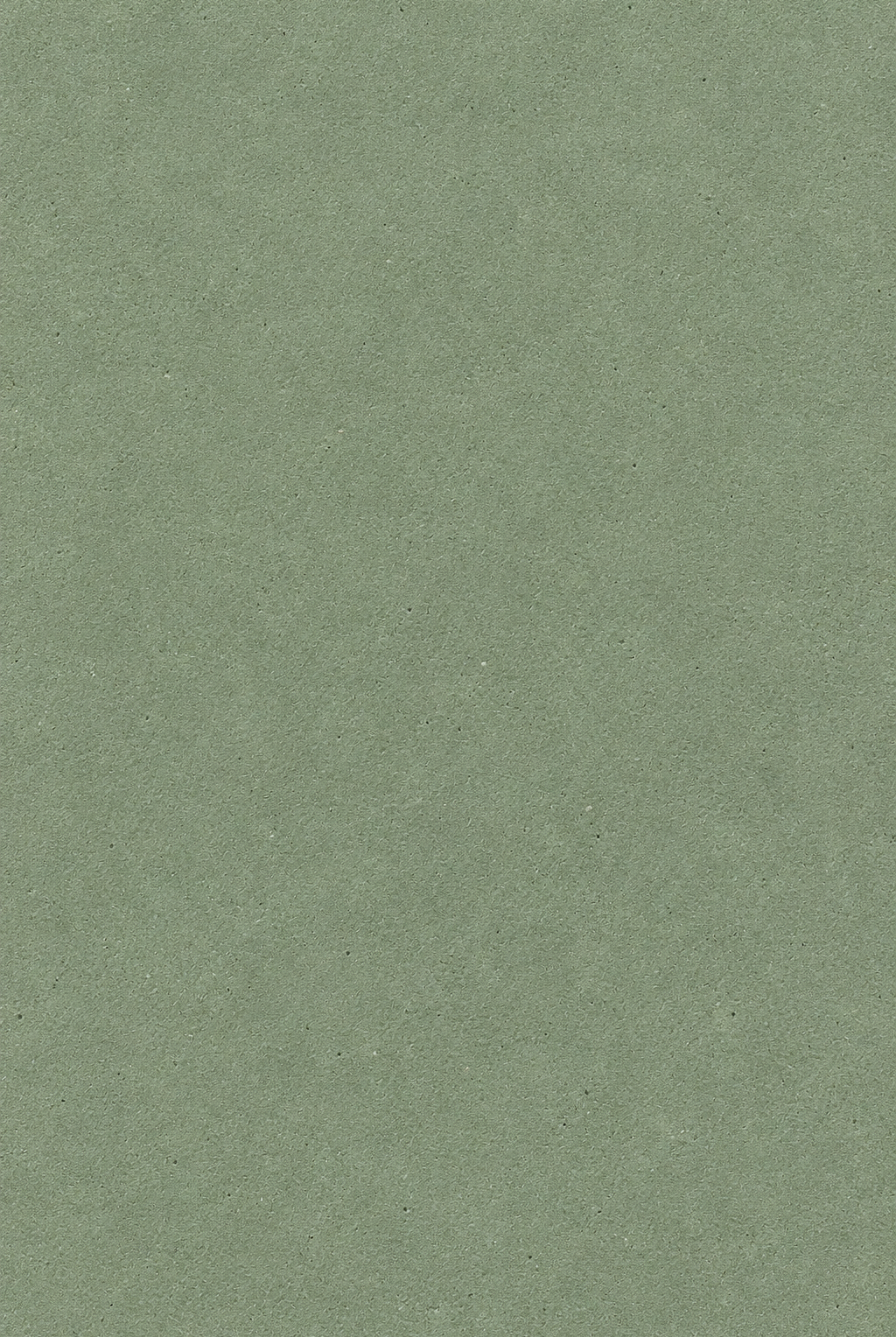 Arqen Sage Green Microconcrete Shoe Cabinet