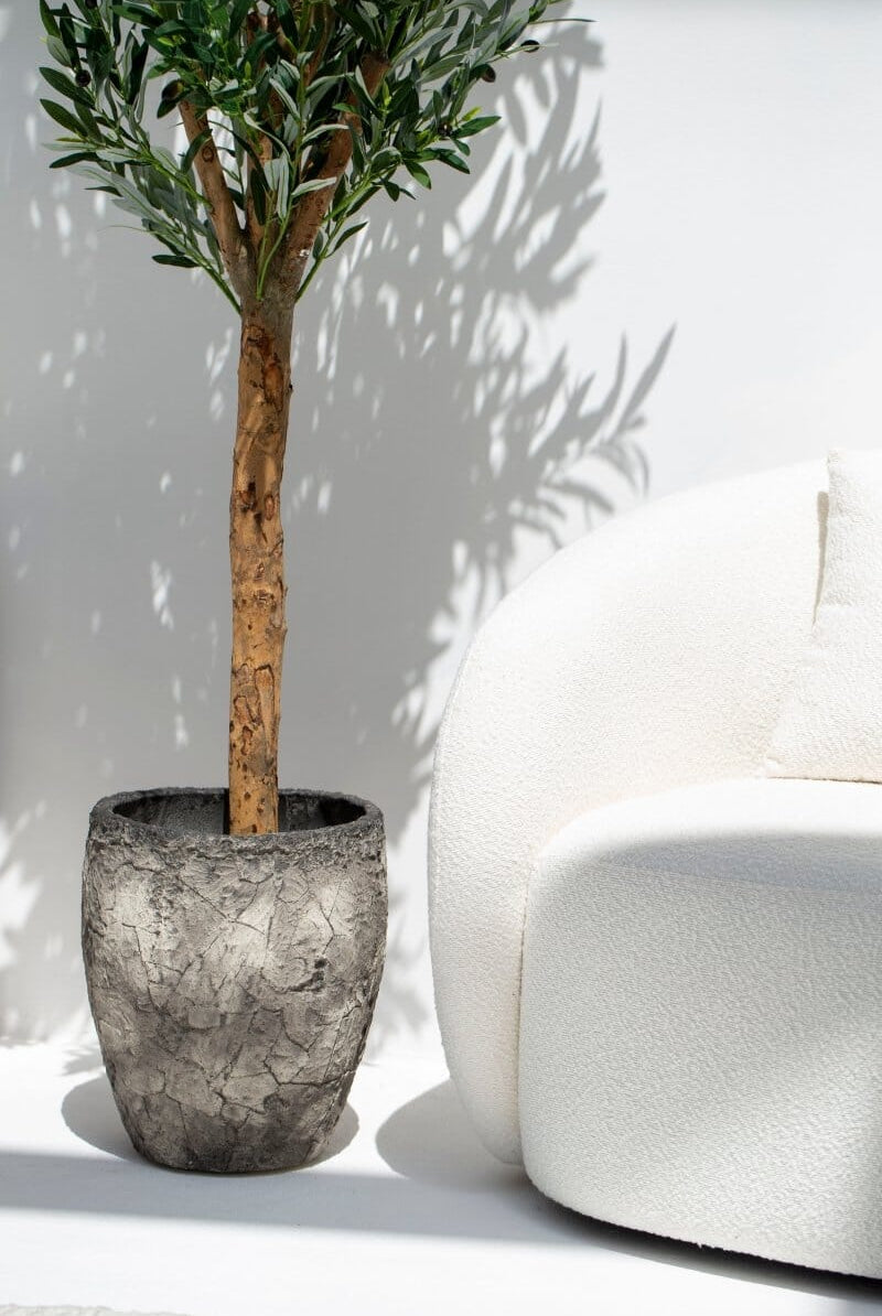 Artificial Olive Tree with Natural Wood Trunk 250CM (POT NOT INCLUDED)