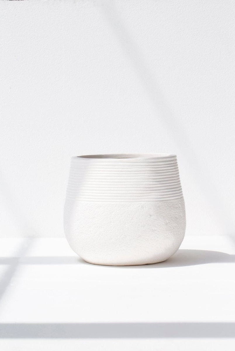 White Texture Ceic Plant pot (3 Sizes)