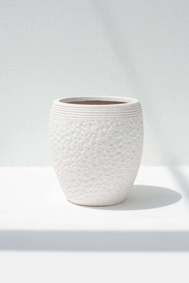 White Terracotta Pot