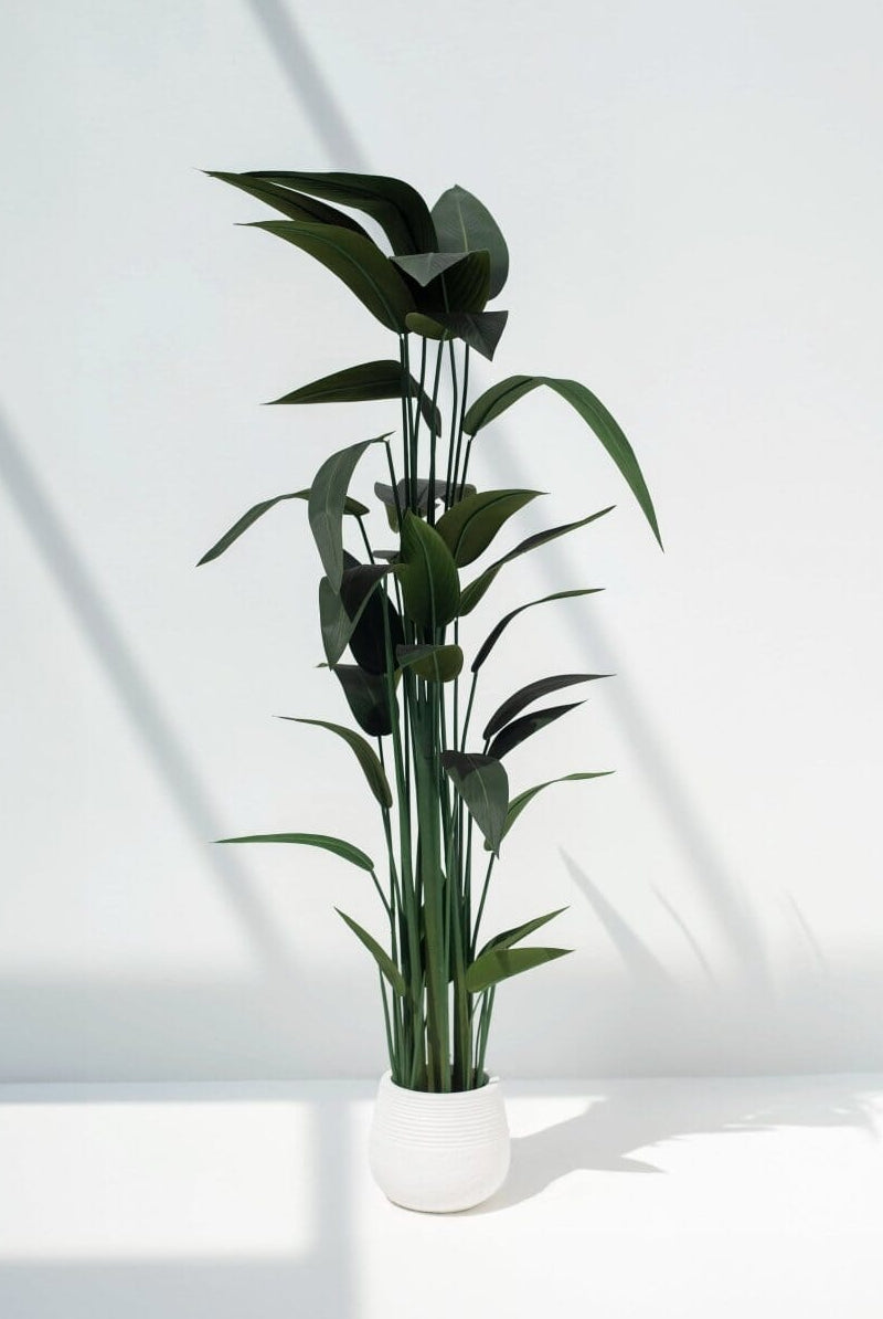 Strelitzia Reginae Artificial Plant
