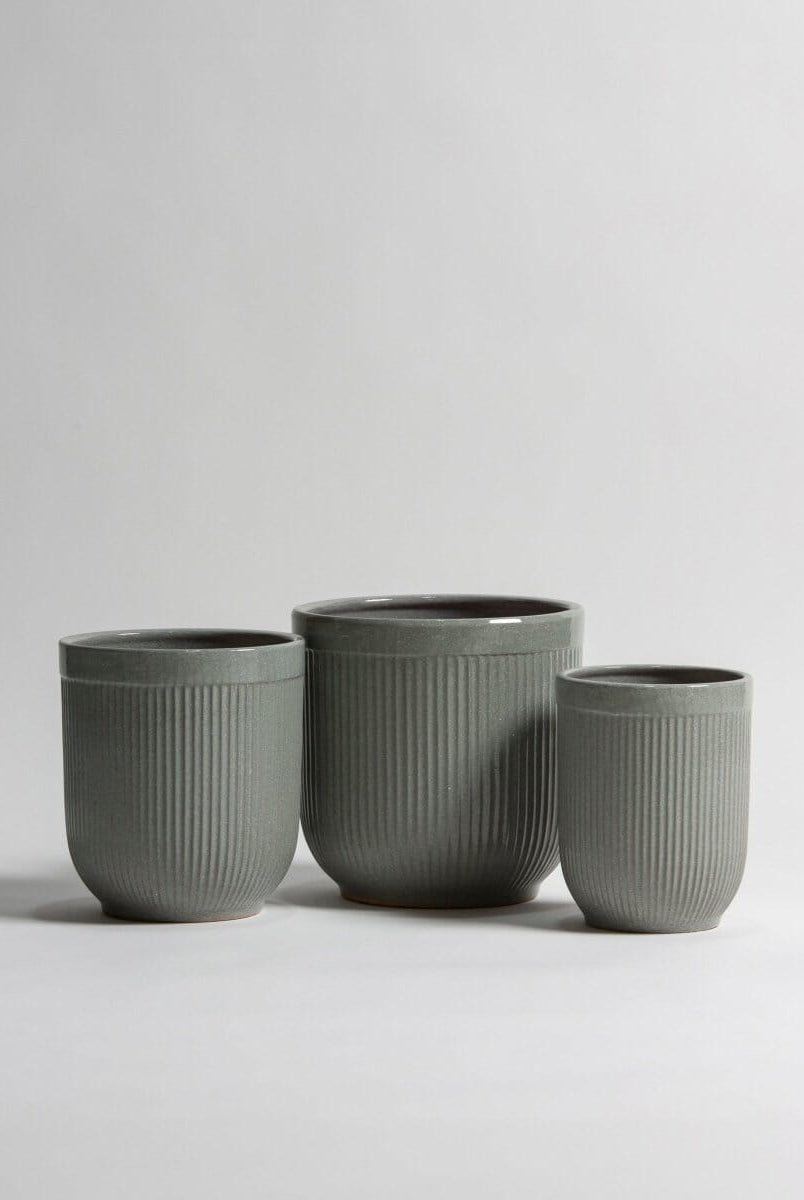 Moss Crest Ceramic Pot