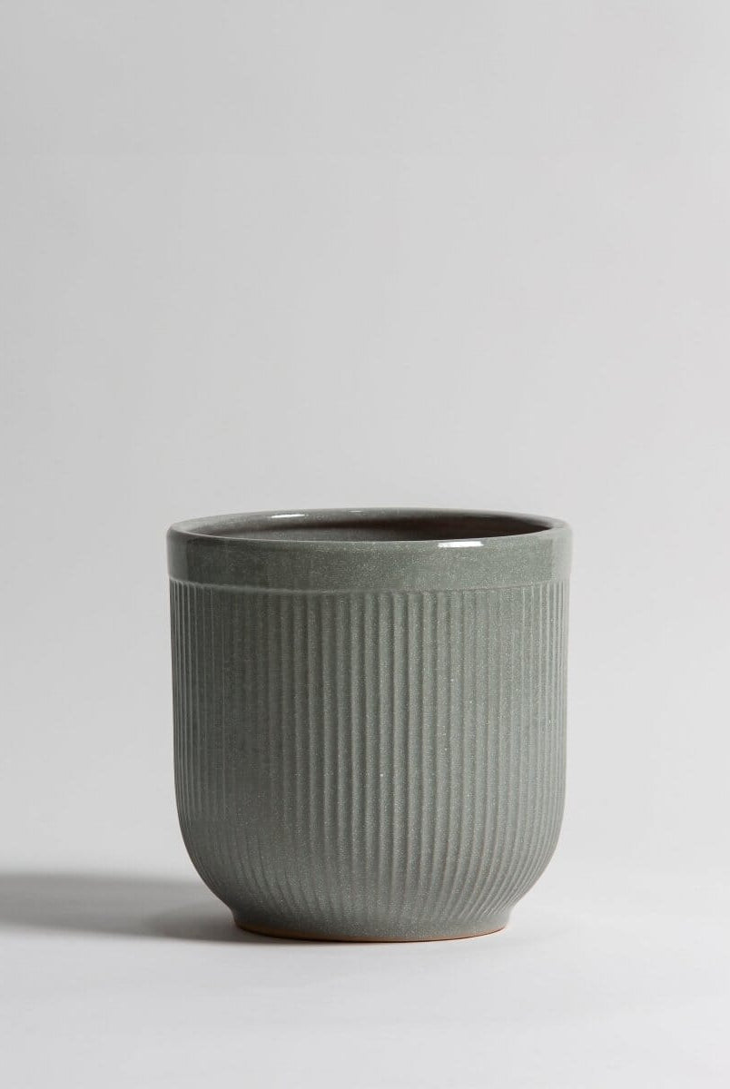 Moss Crest Ceramic Pot (3 Sizes)