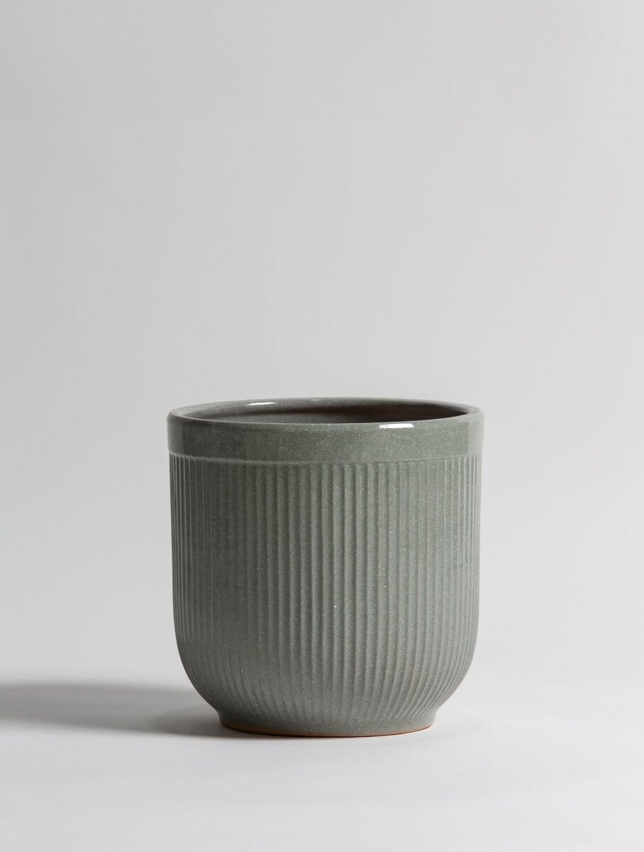 Moss Crest Ceramic Pot (3 Sizes)