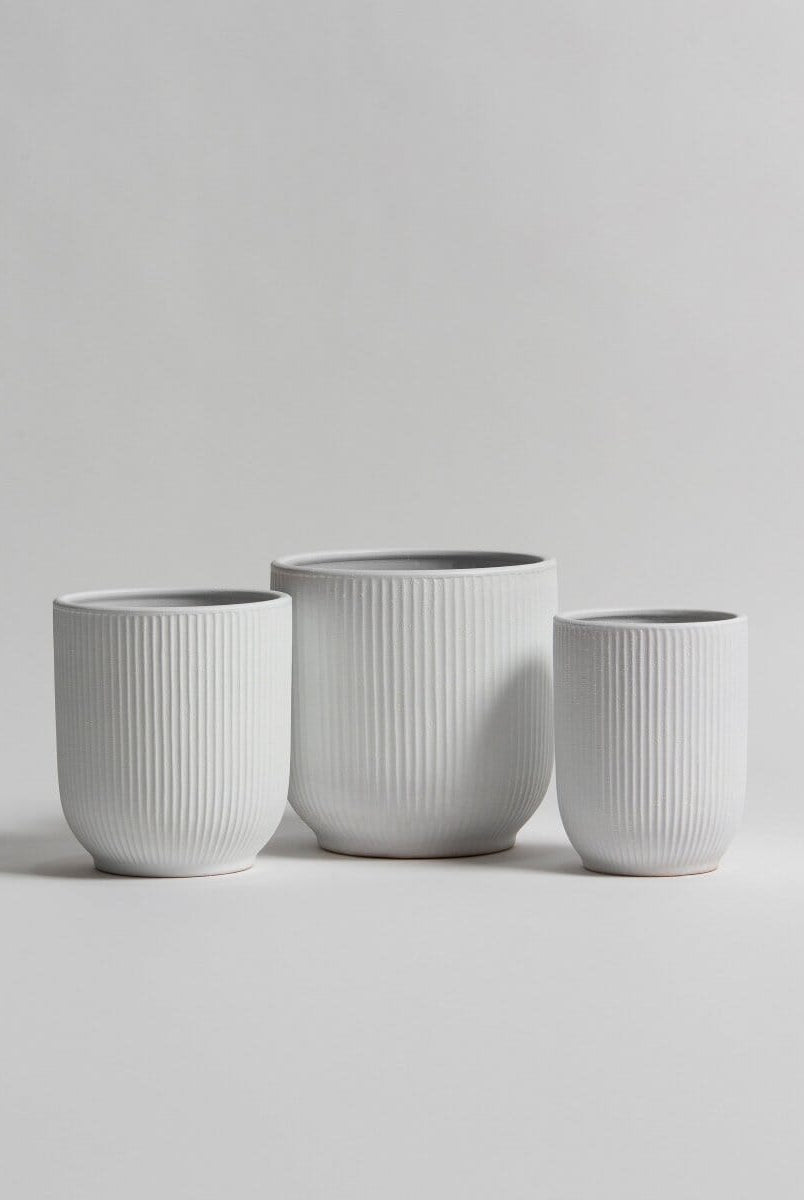 White Crest Ceramic Pot