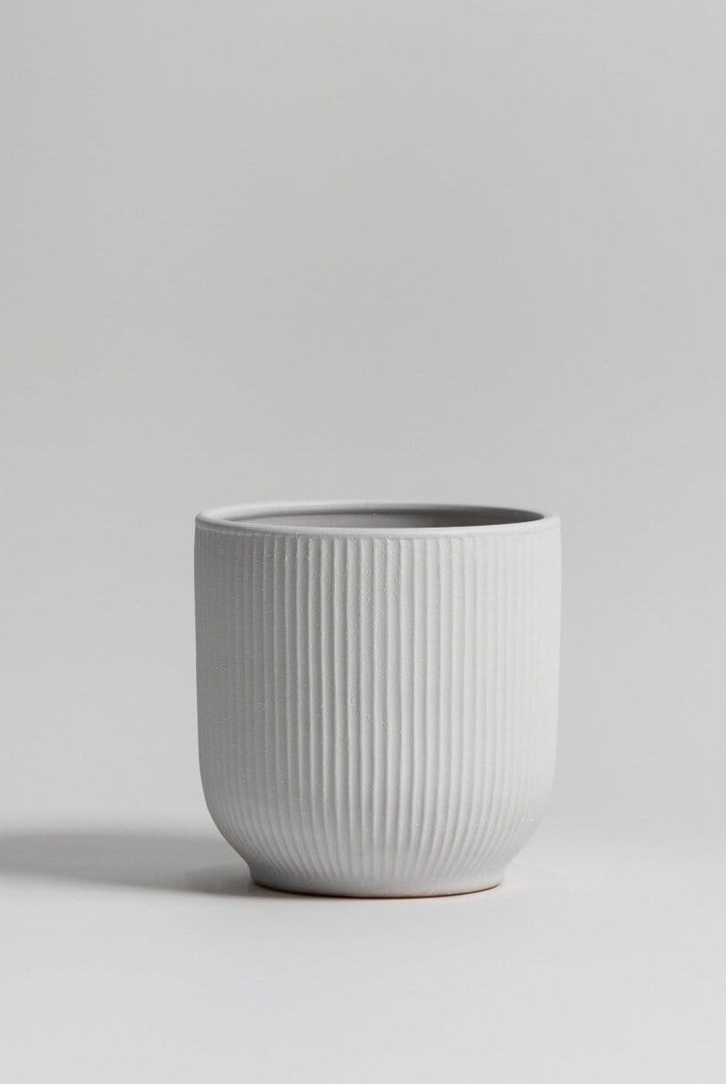 White Crest Ceramic Pot (3 Sizes)