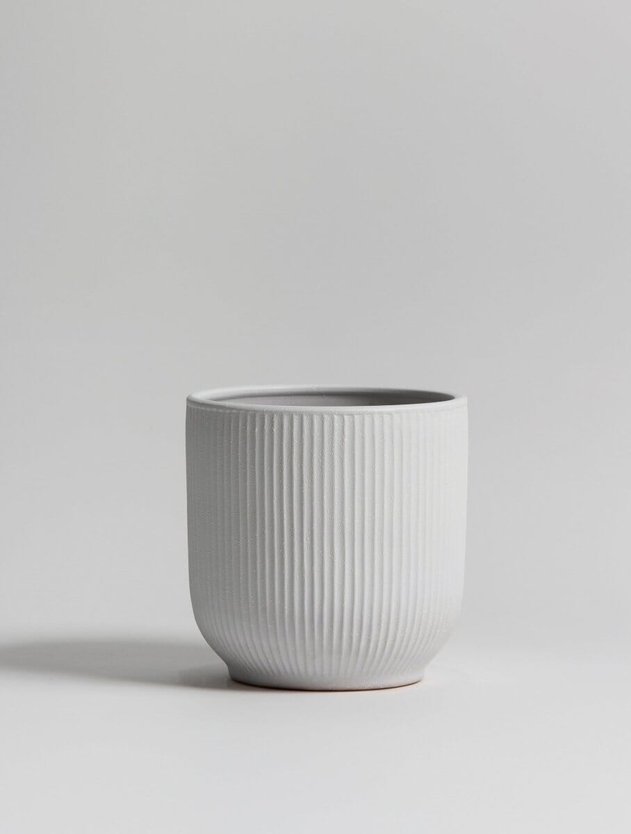 White Crest Ceramic Pot (3 Sizes)