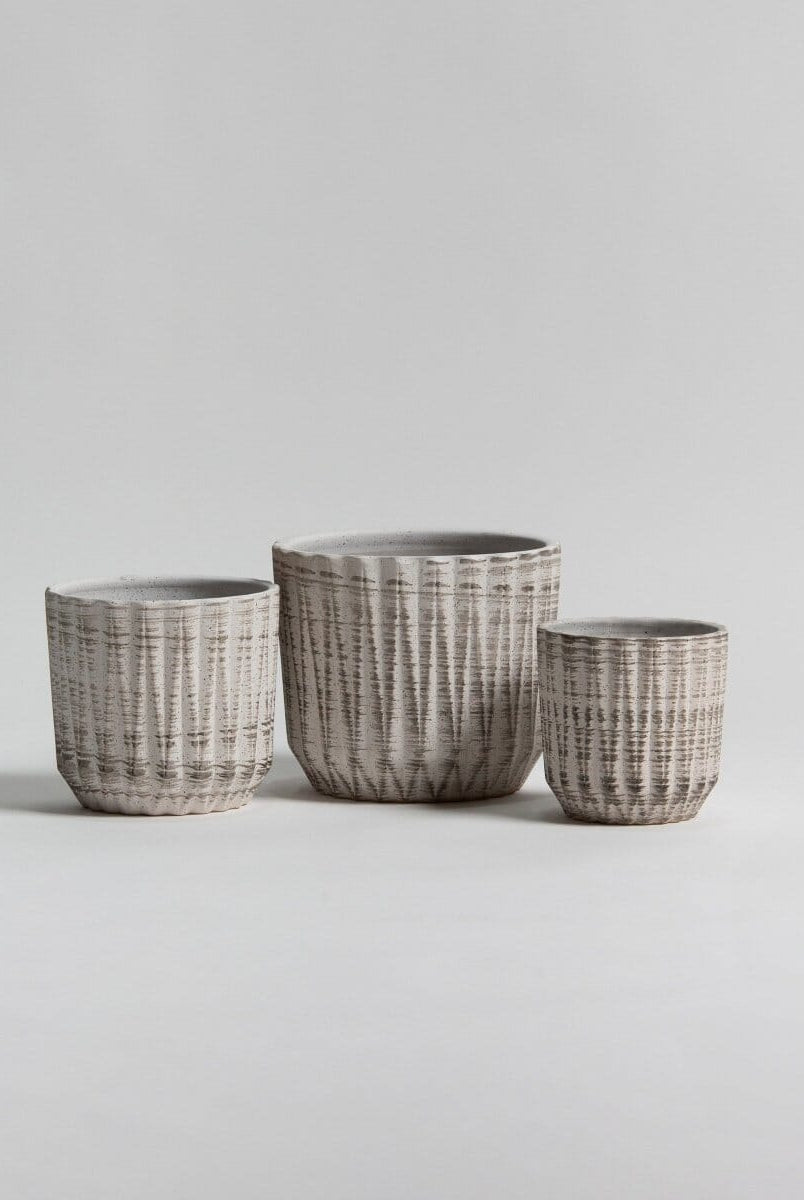 Frosted Birch Ceramic Pot