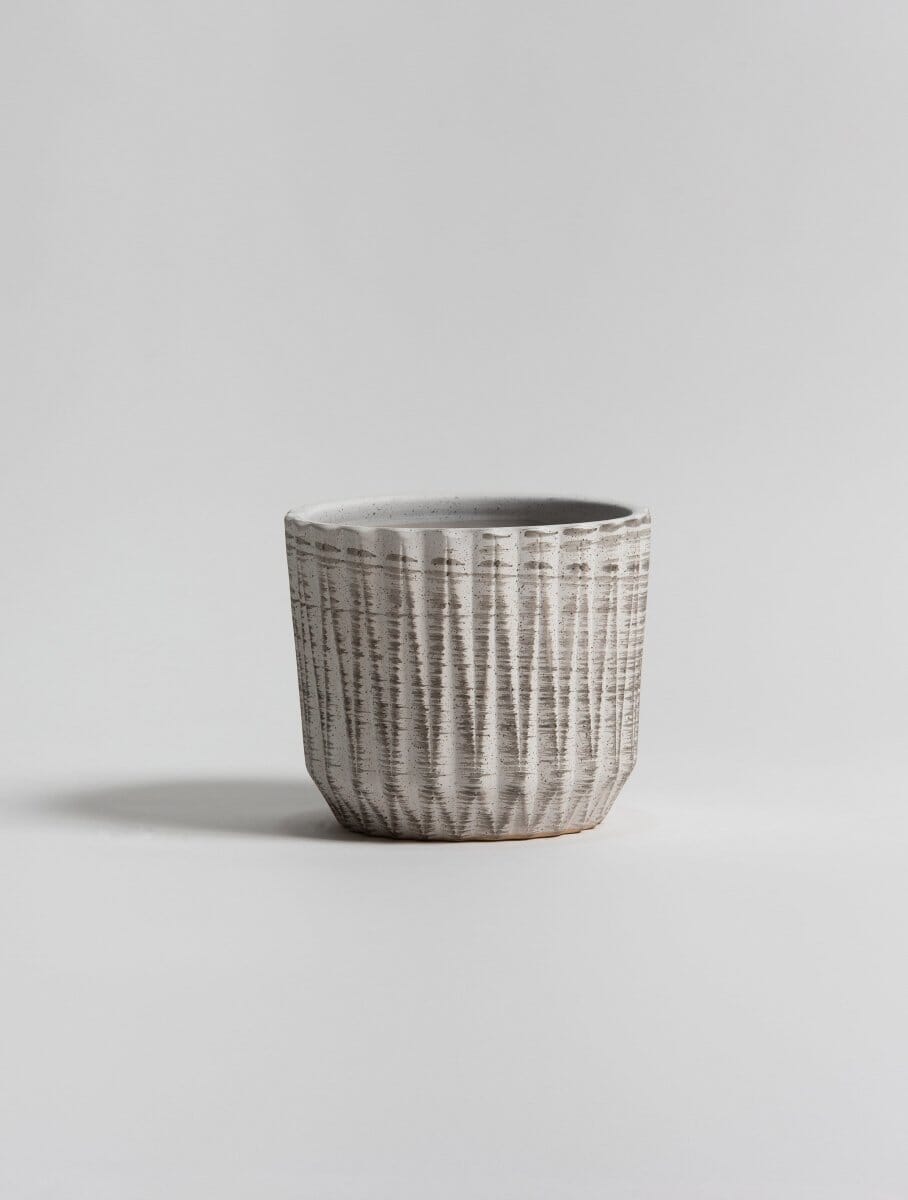Frosted Birch Ceramic Pot (3 Sizes)