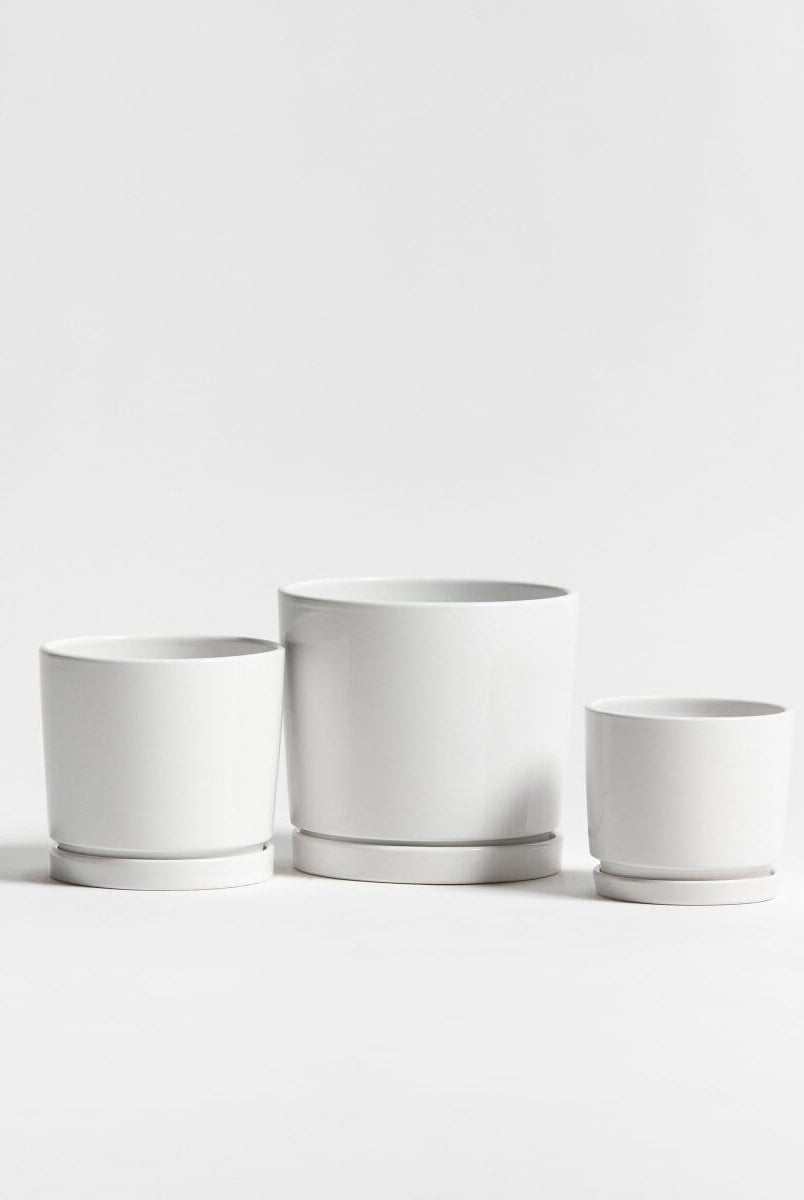 Ivory Shine Ceramic Pot