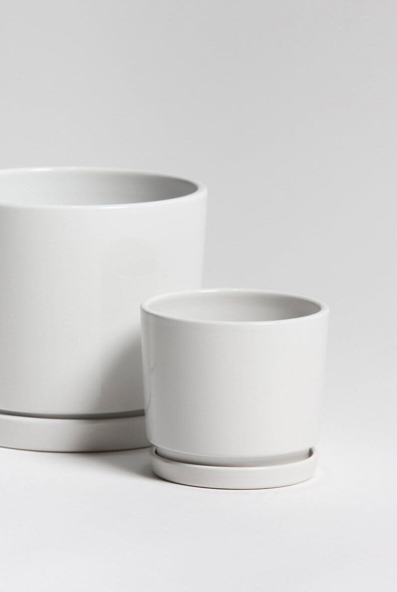 Ivory Shine Ceramic Pot (3 Sizes)