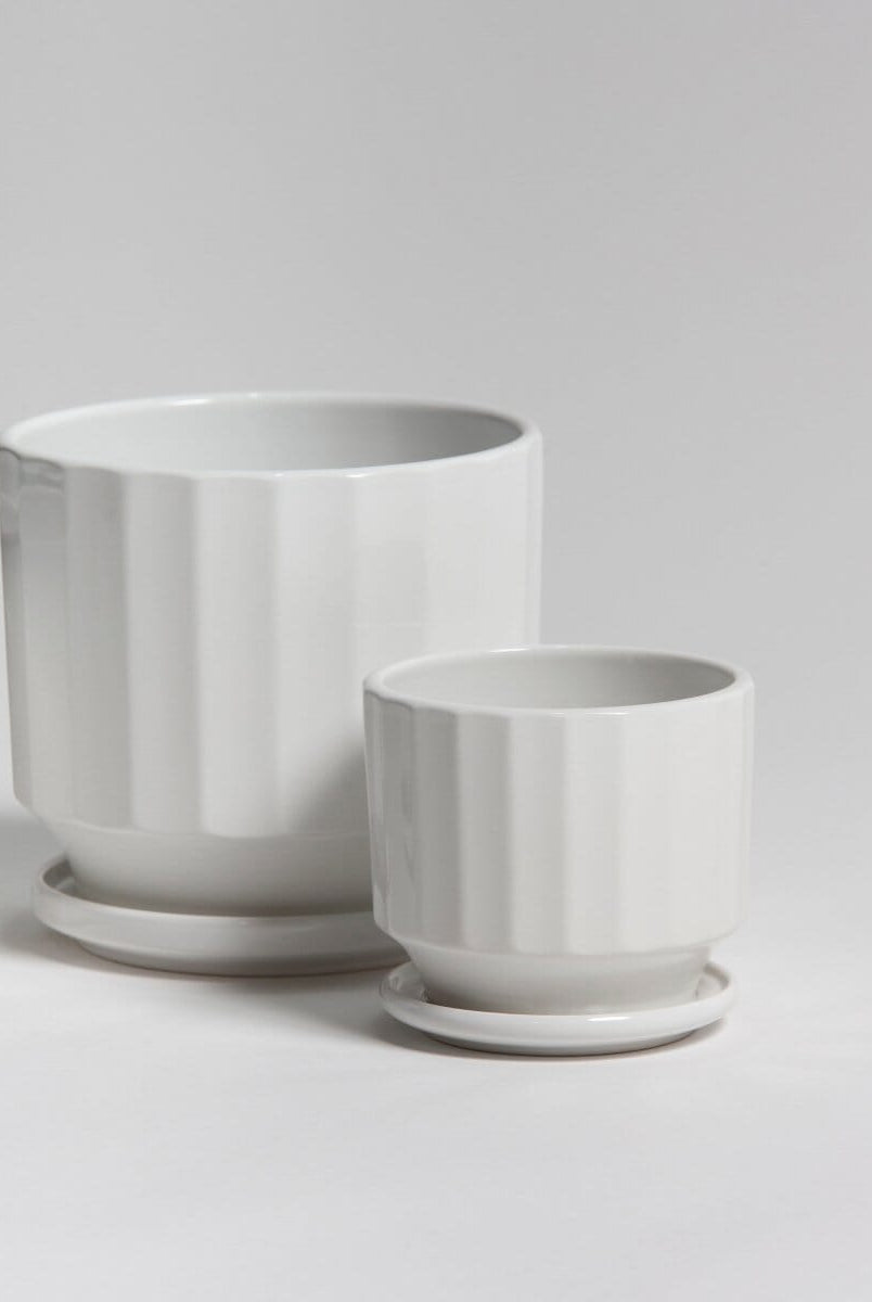 Ivory Groove Ceramic Pot (3 Sizes)