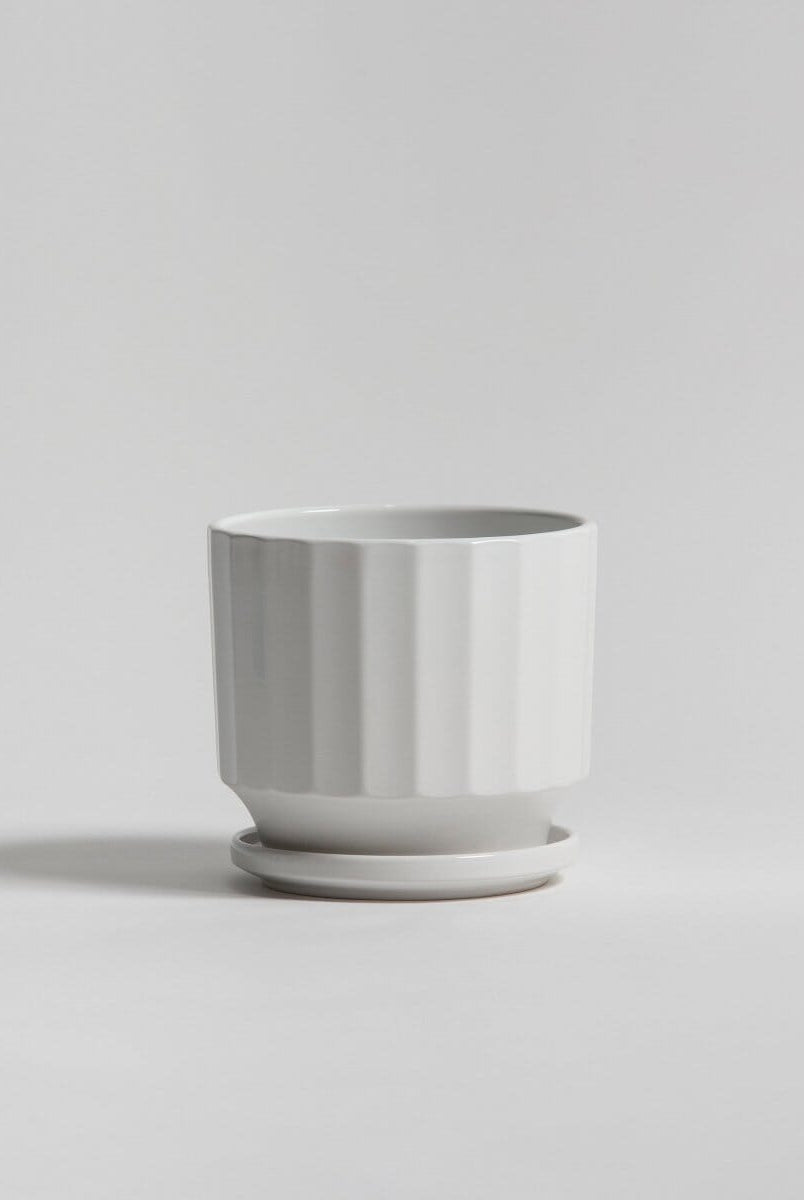 Ivory Groove Ceic Pot (3 Sizes)