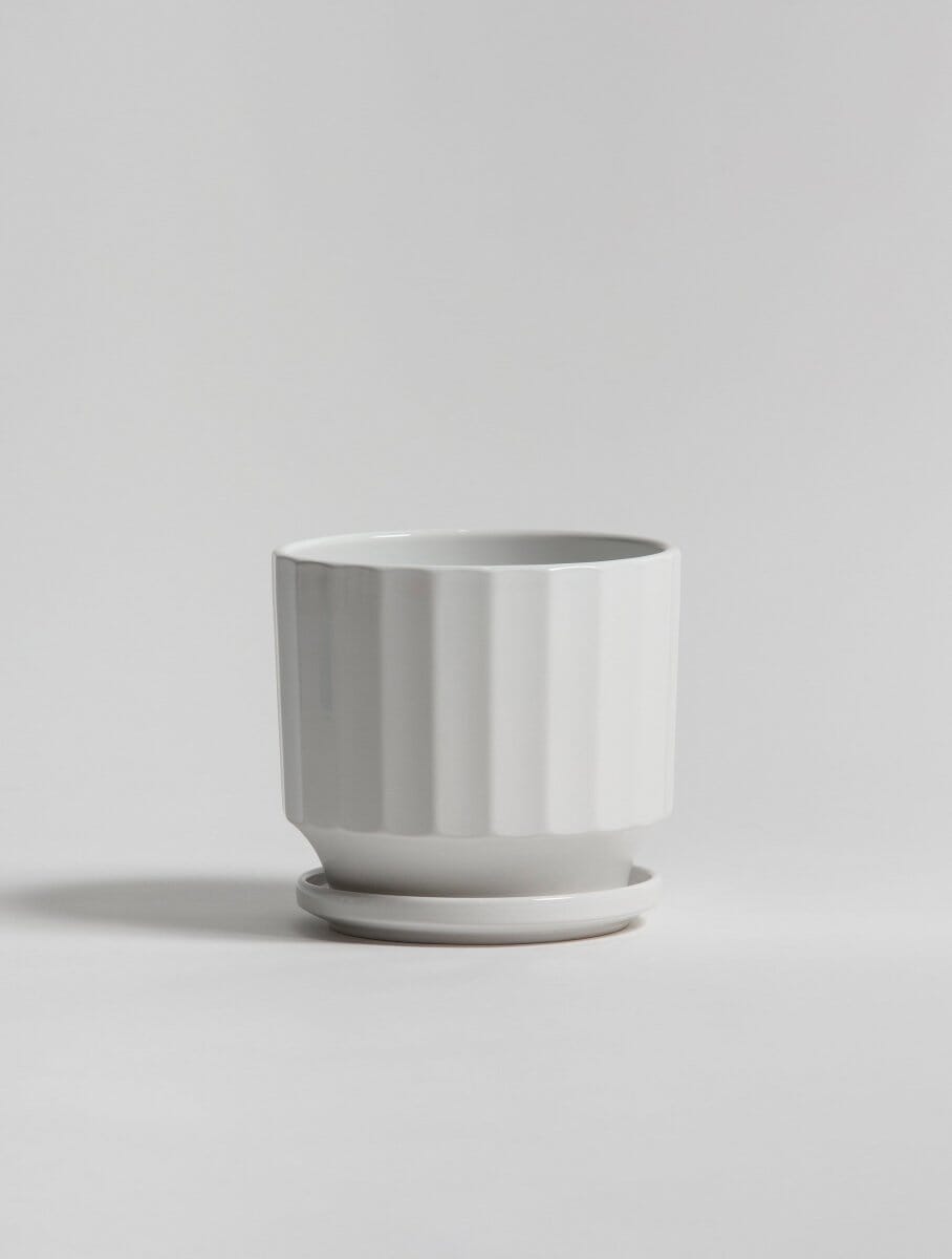 Ivory Groove Ceic Pot (3 Sizes)