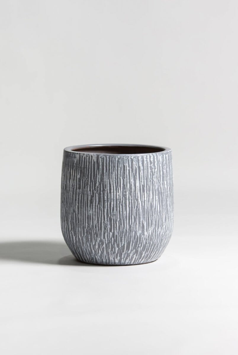 Ash BarkLine Ceramic Pot (3 Sizes)
