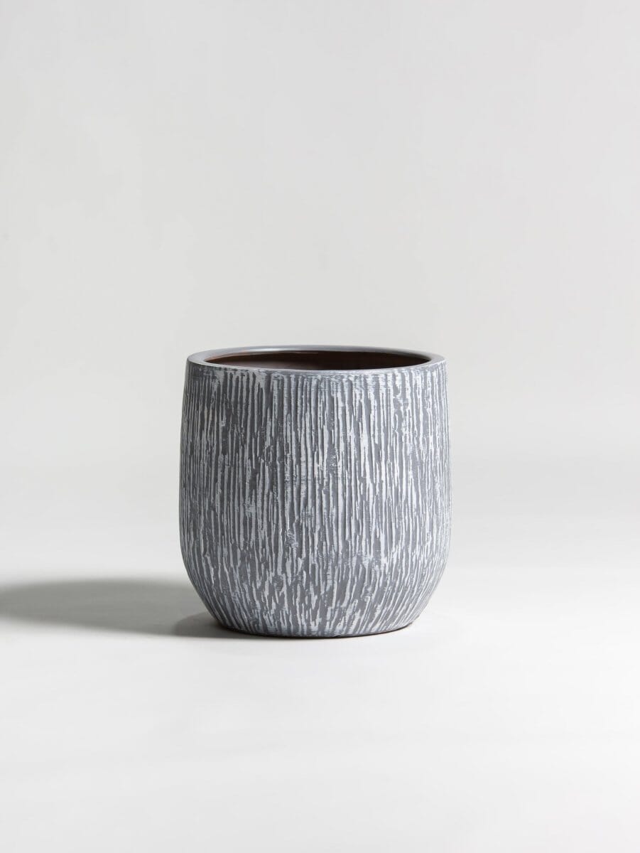 Ash BarkLine Ceramic Pot (3 Sizes)