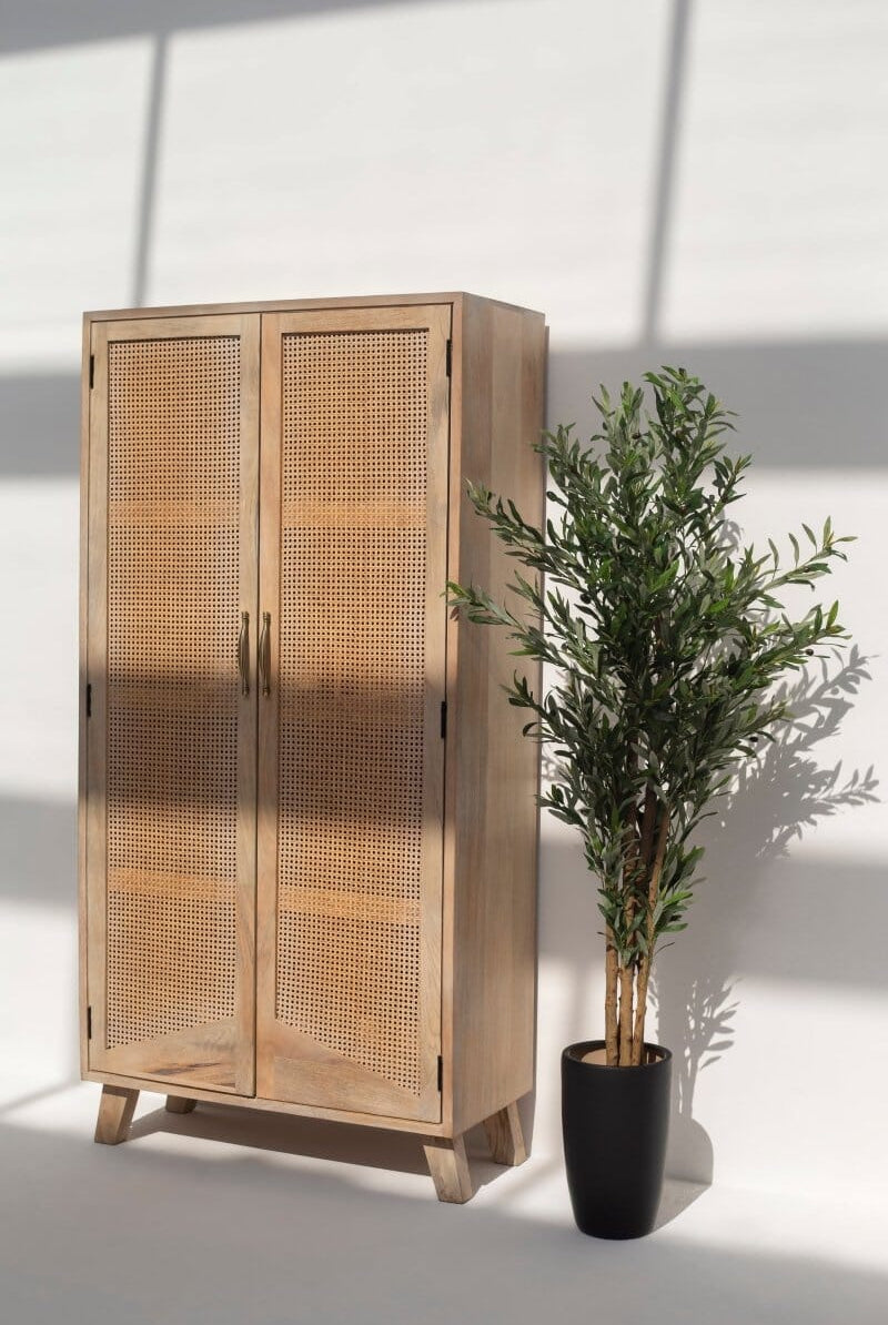 Cali Rattan Doors Closet ART