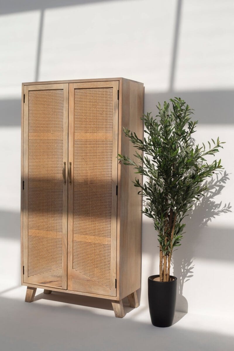 Cali Rattan Doors Closet ART