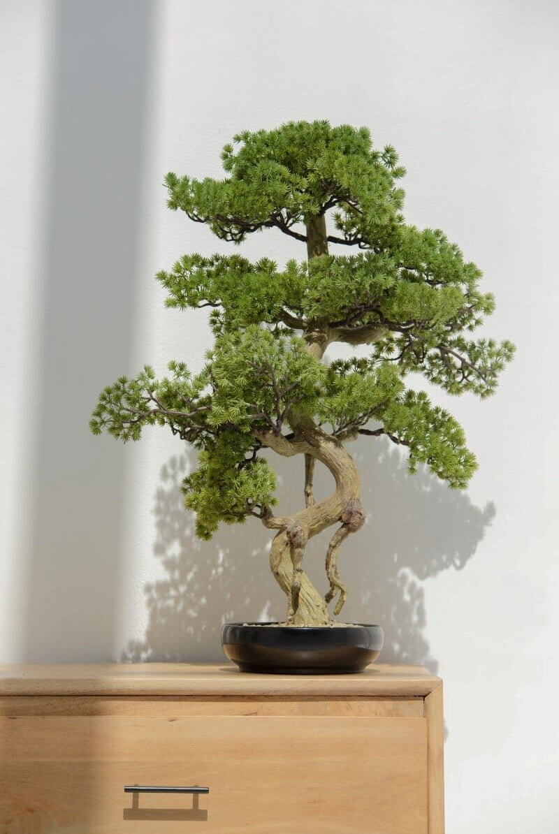 Pinus Thunbergii Bonsai Artificial Plant II