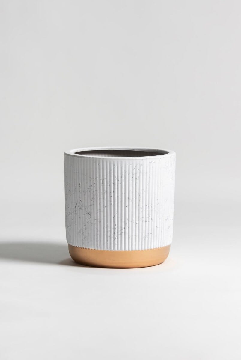 Gilded Groove Ceramic Pot III (3 Sizes)