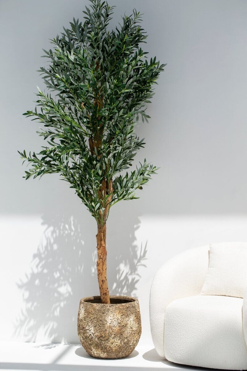 Mustard Rustic Pot (3 Sizes)Large: 40CM Diter x 44CM Height