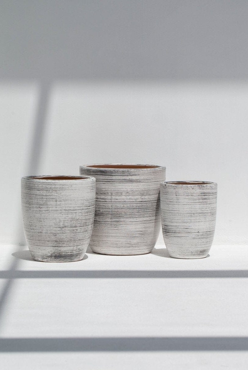 Black & White Lines Pot