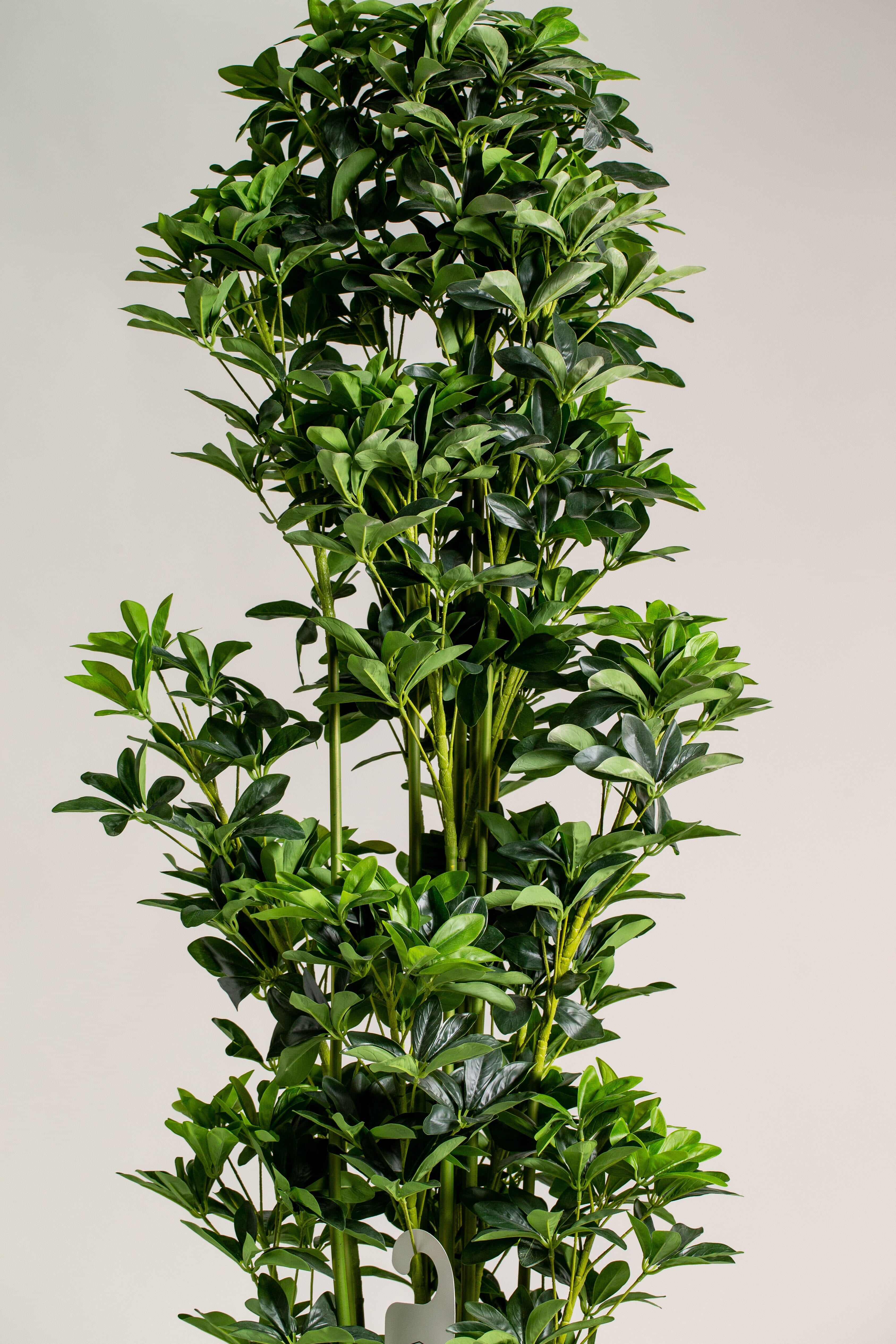 Scheffleraificial Plant (Pot not included) Homekode