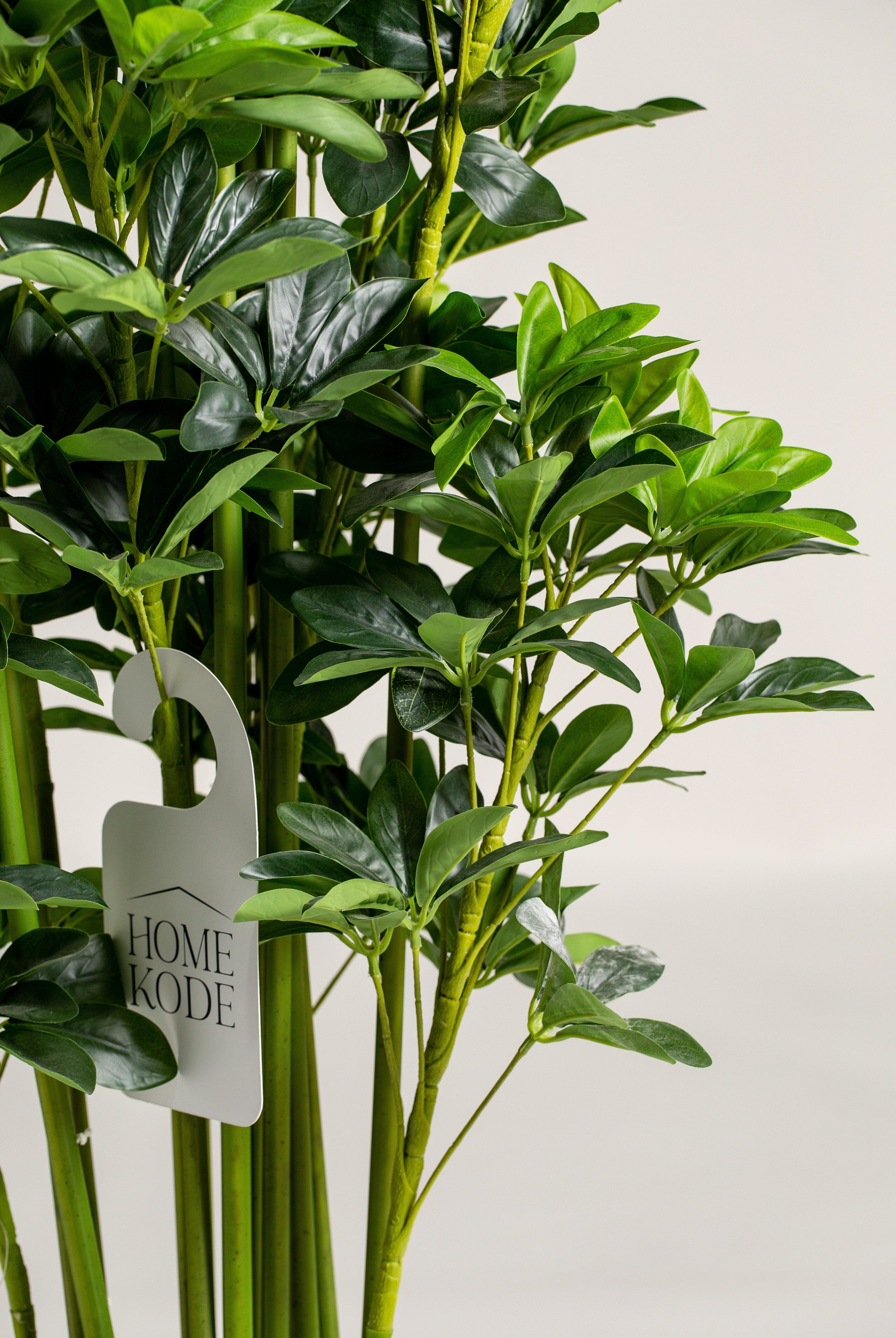 Scheffleraificial Plant (Pot not included) Homekode