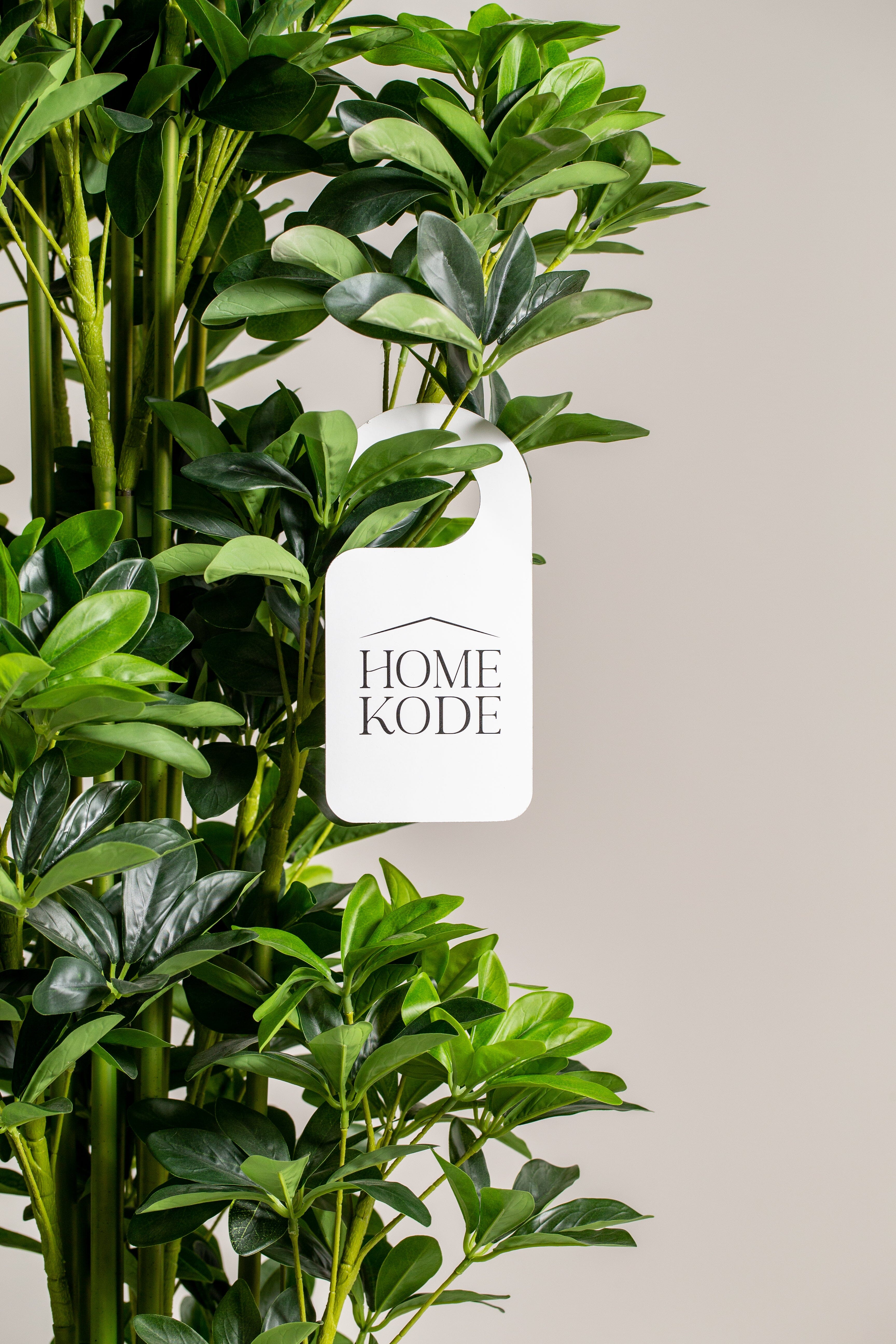 Scheffleraificial Plant (Pot not included) Homekode