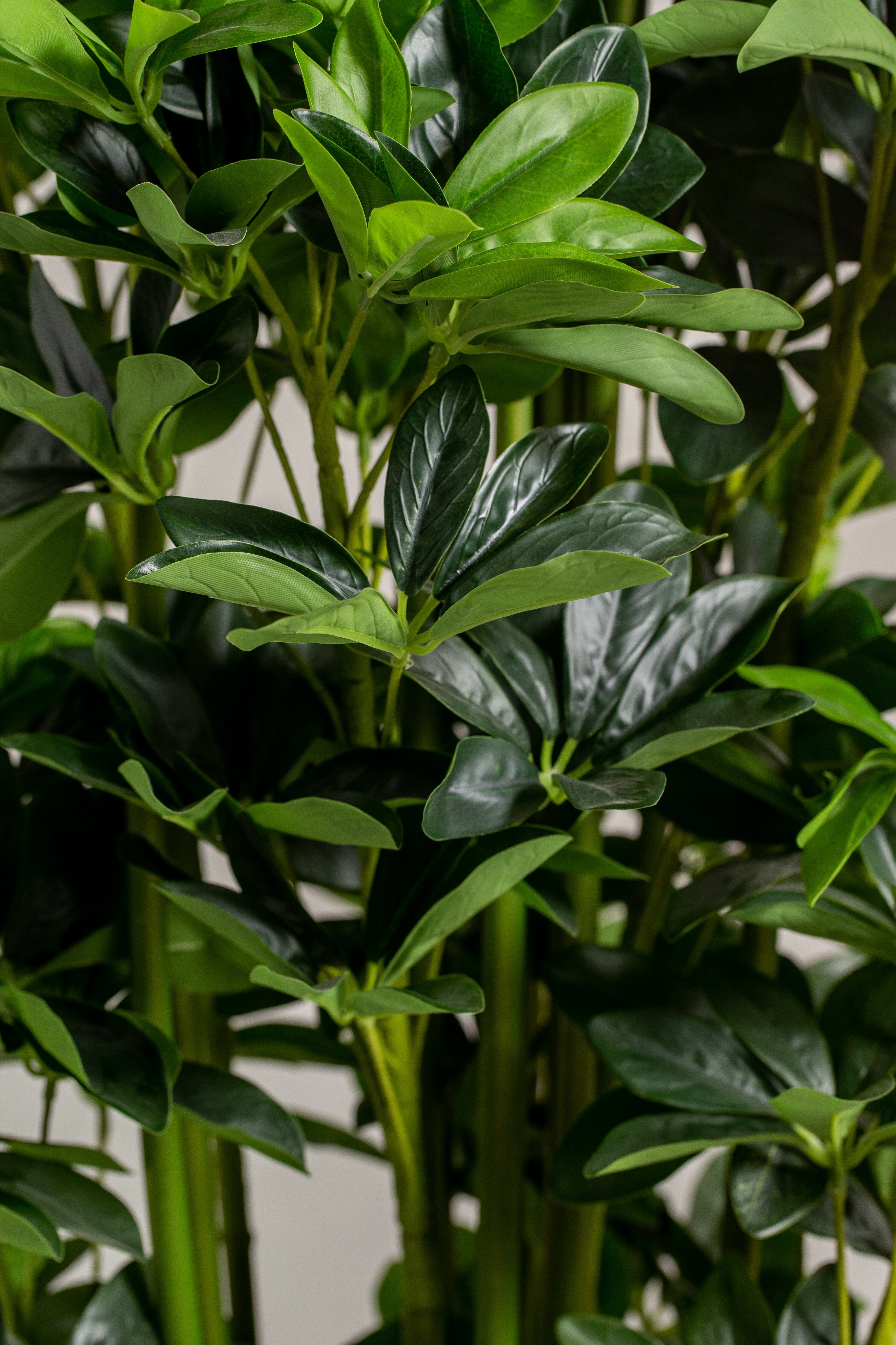 Scheffleraificial Plant (Pot not included) Homekode