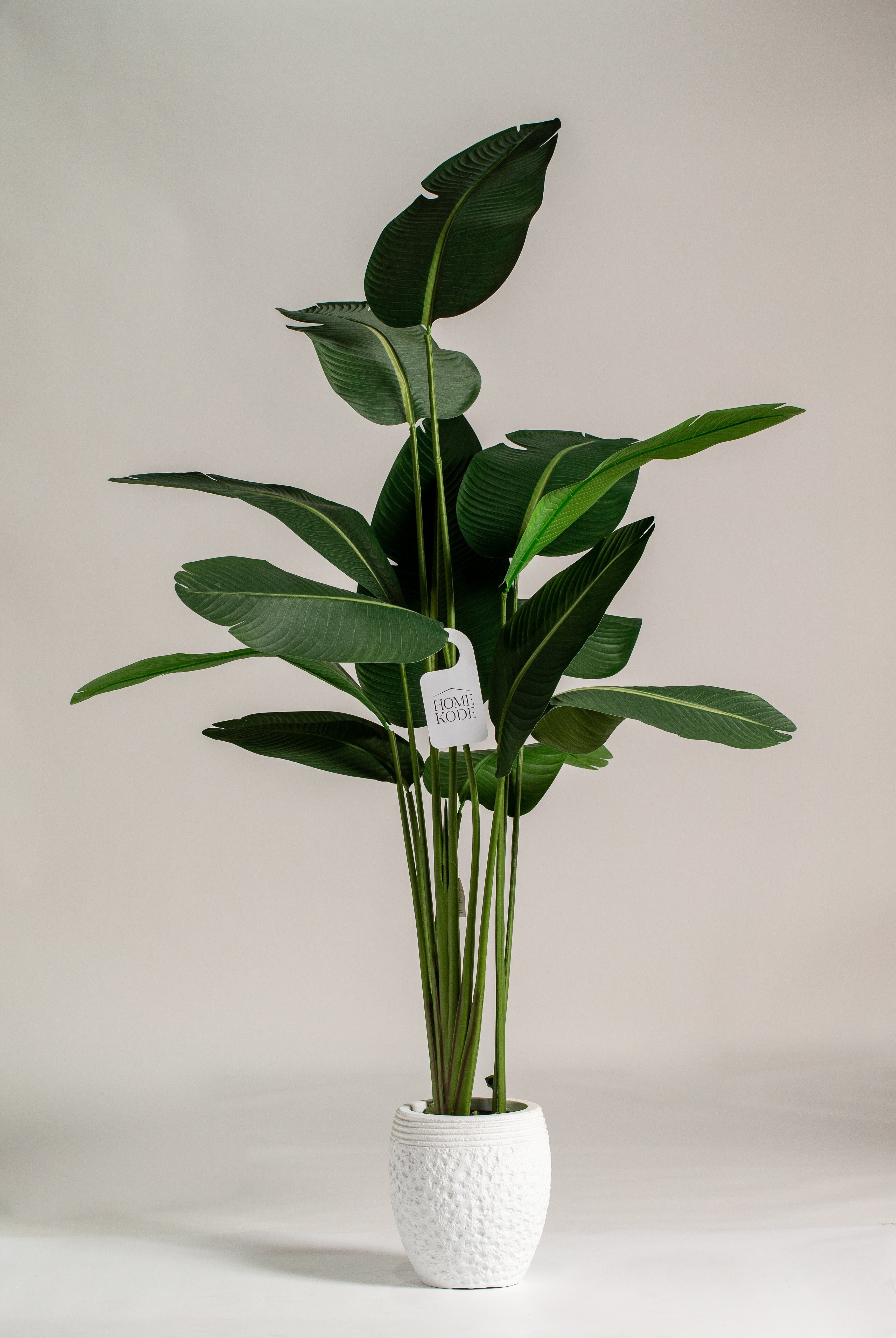 Strelitziaificial Tree (Pot not included) Homekode