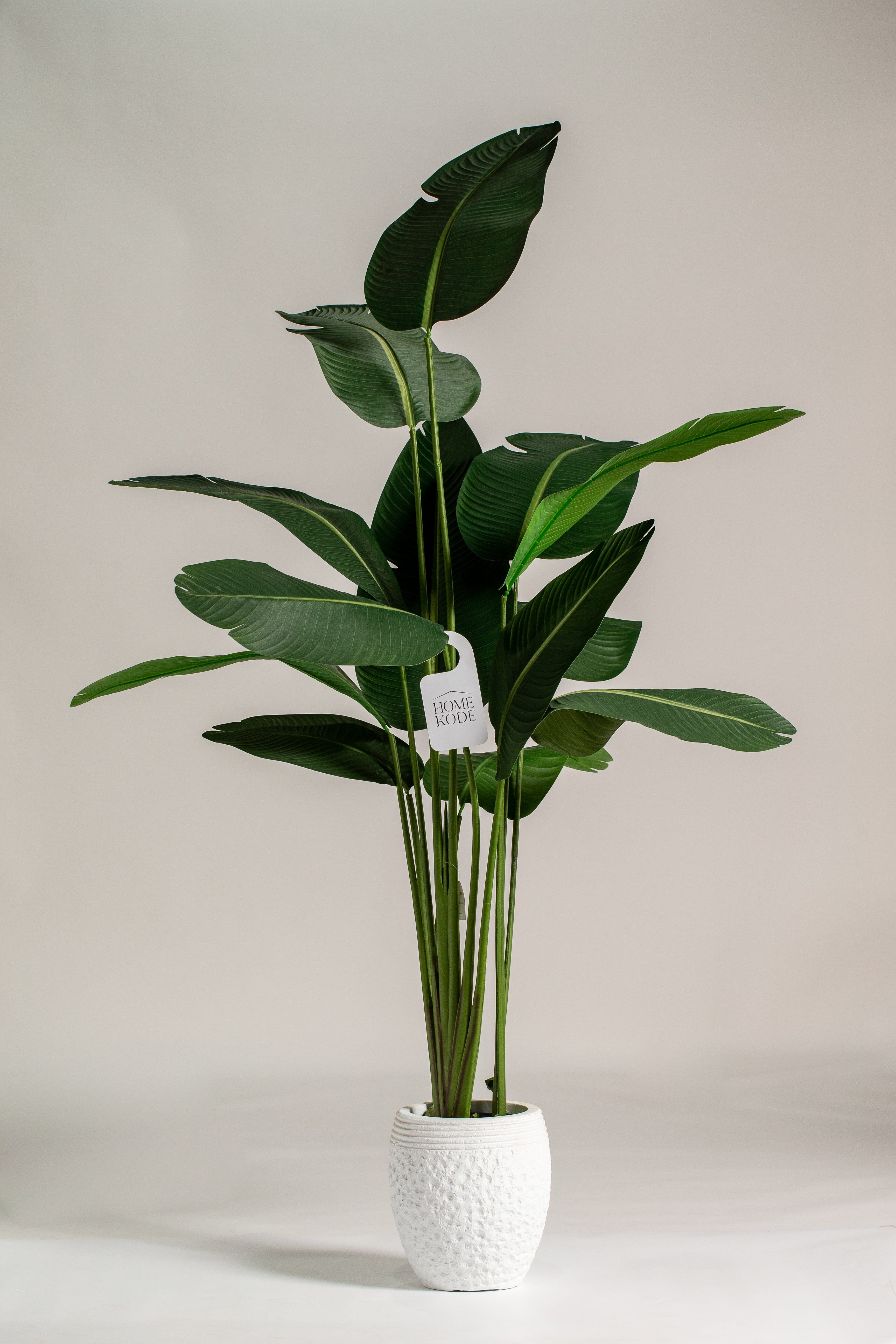 Strelitziaificial Tree (Pot not included) Homekode