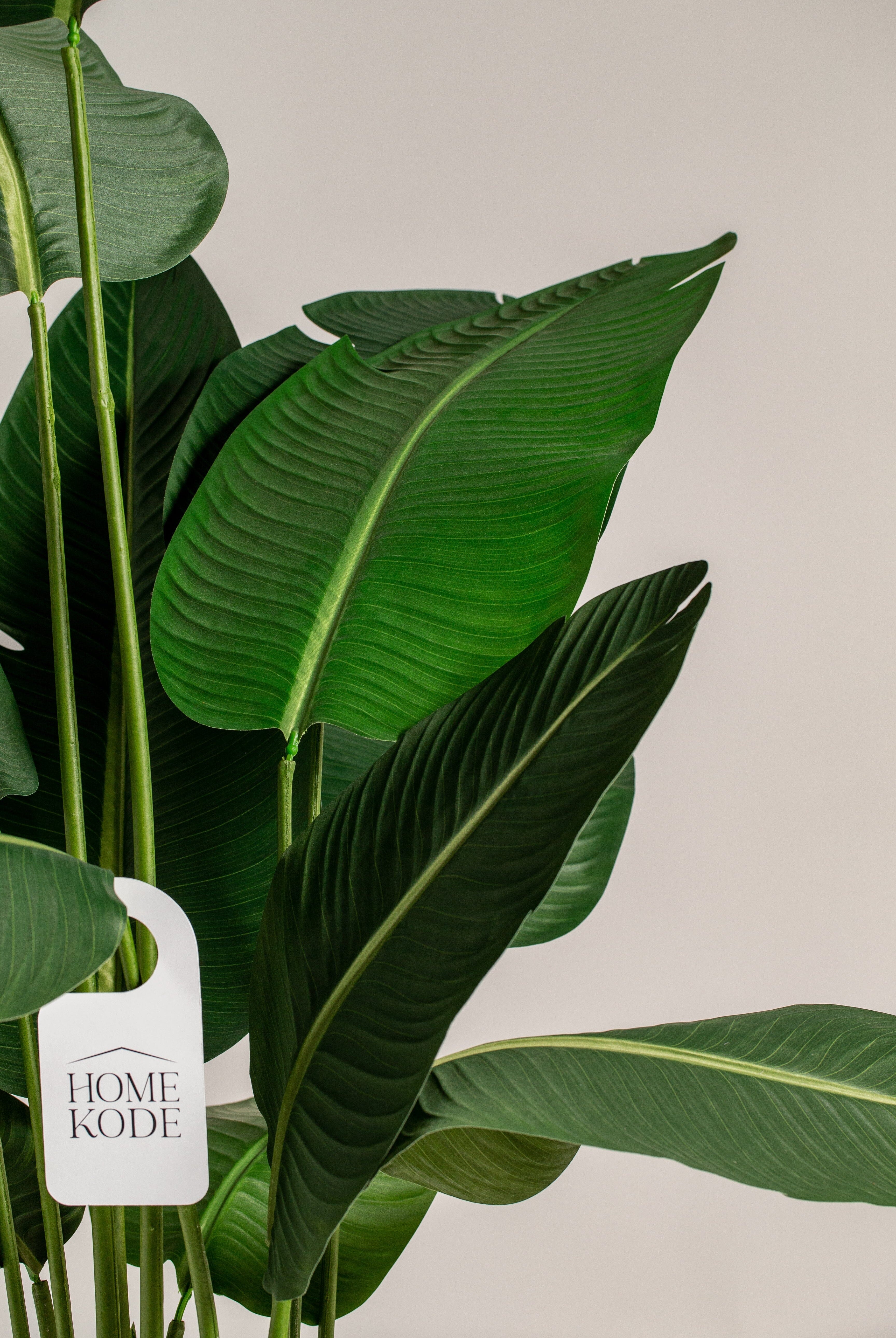 Strelitziaificial Tree (Pot not included) Homekode