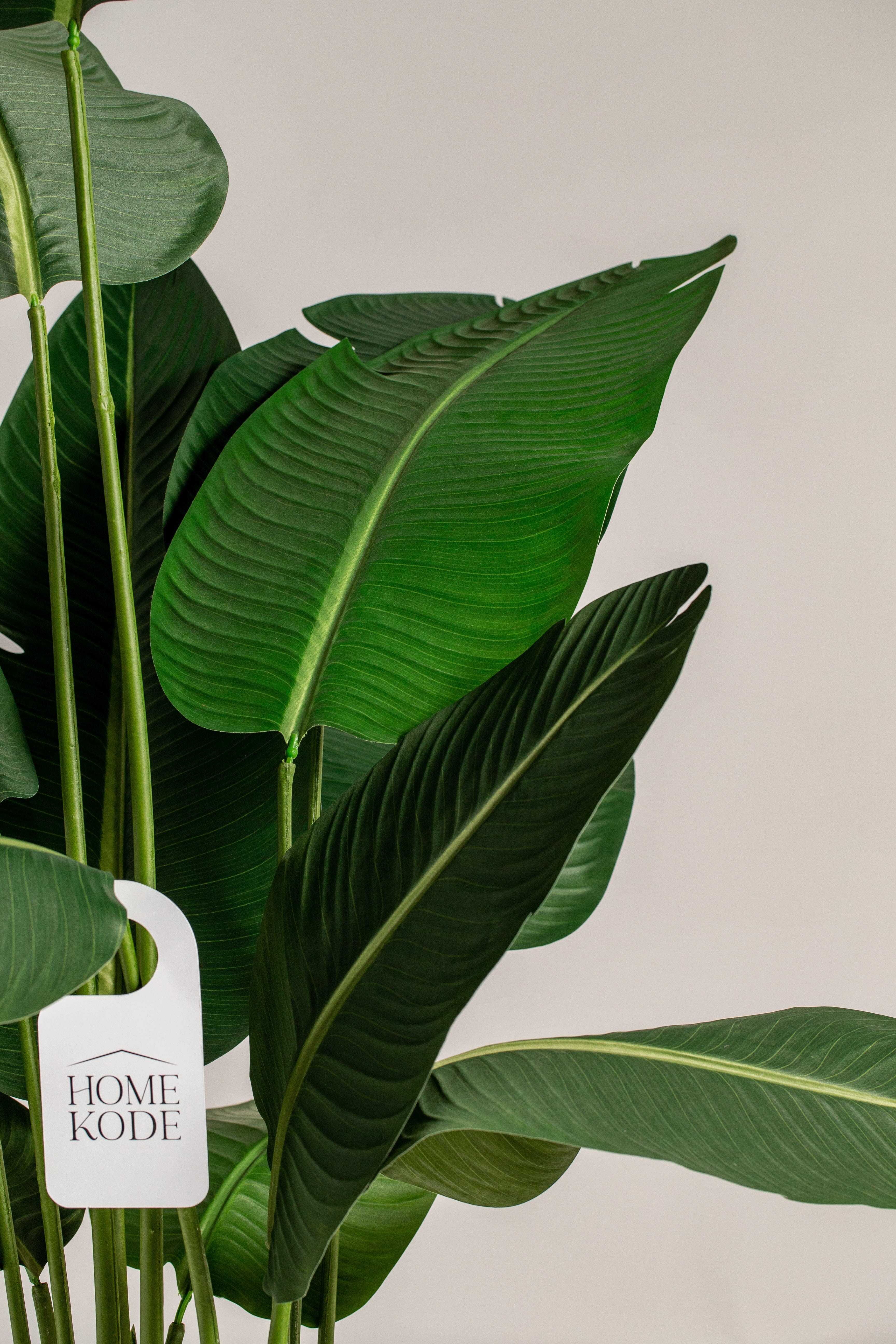 Strelitziaificial Tree (Pot not included) Homekode