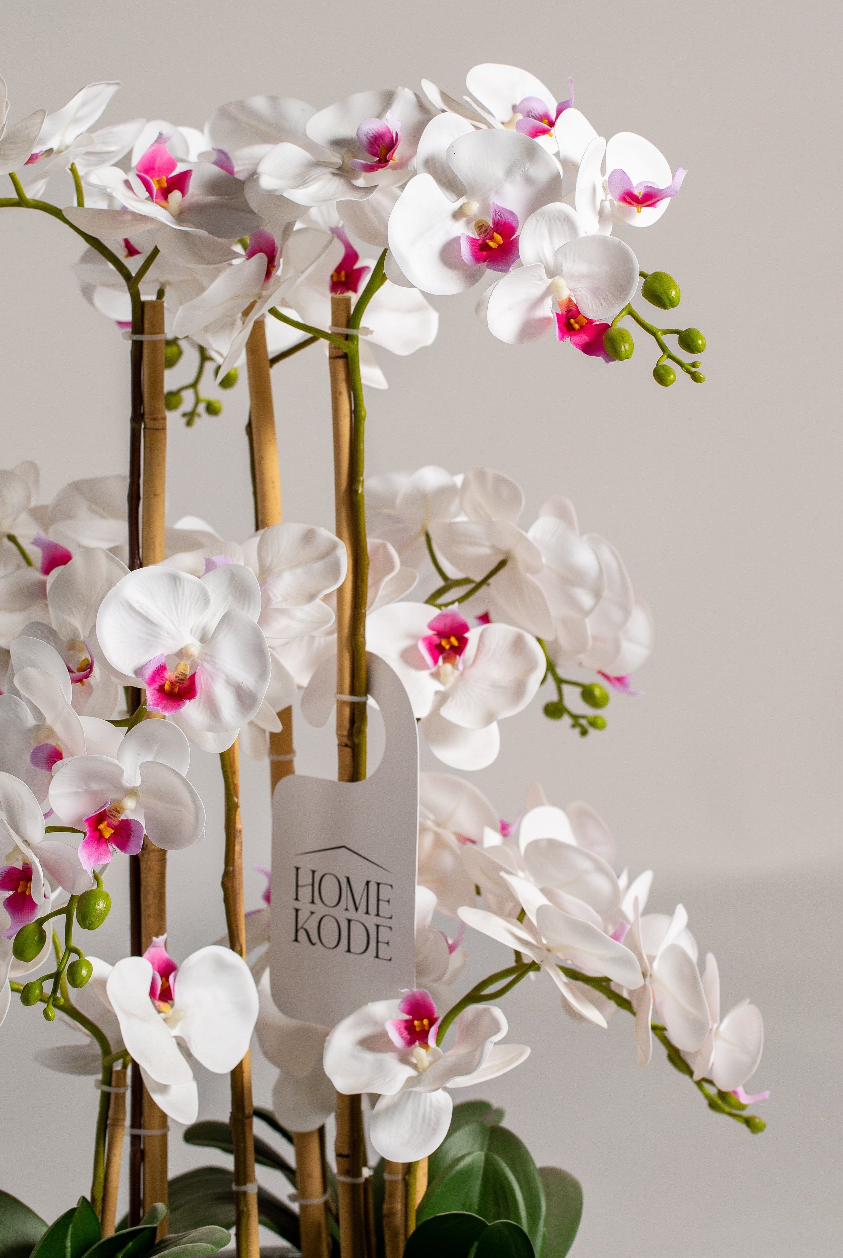 Orchidificial Plant (Pot not included) Homekode