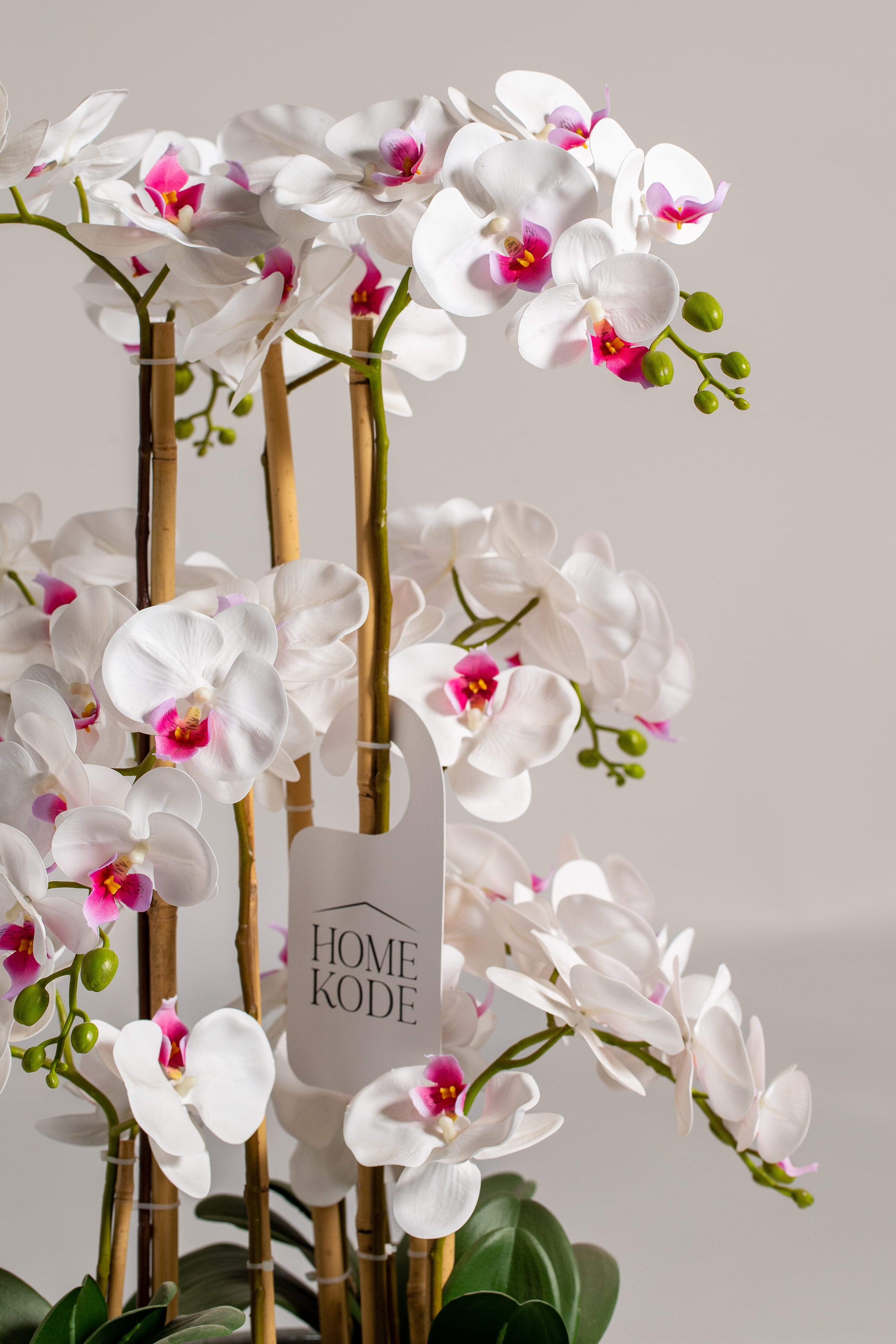 Orchidificial Plant (Pot not included) Homekode