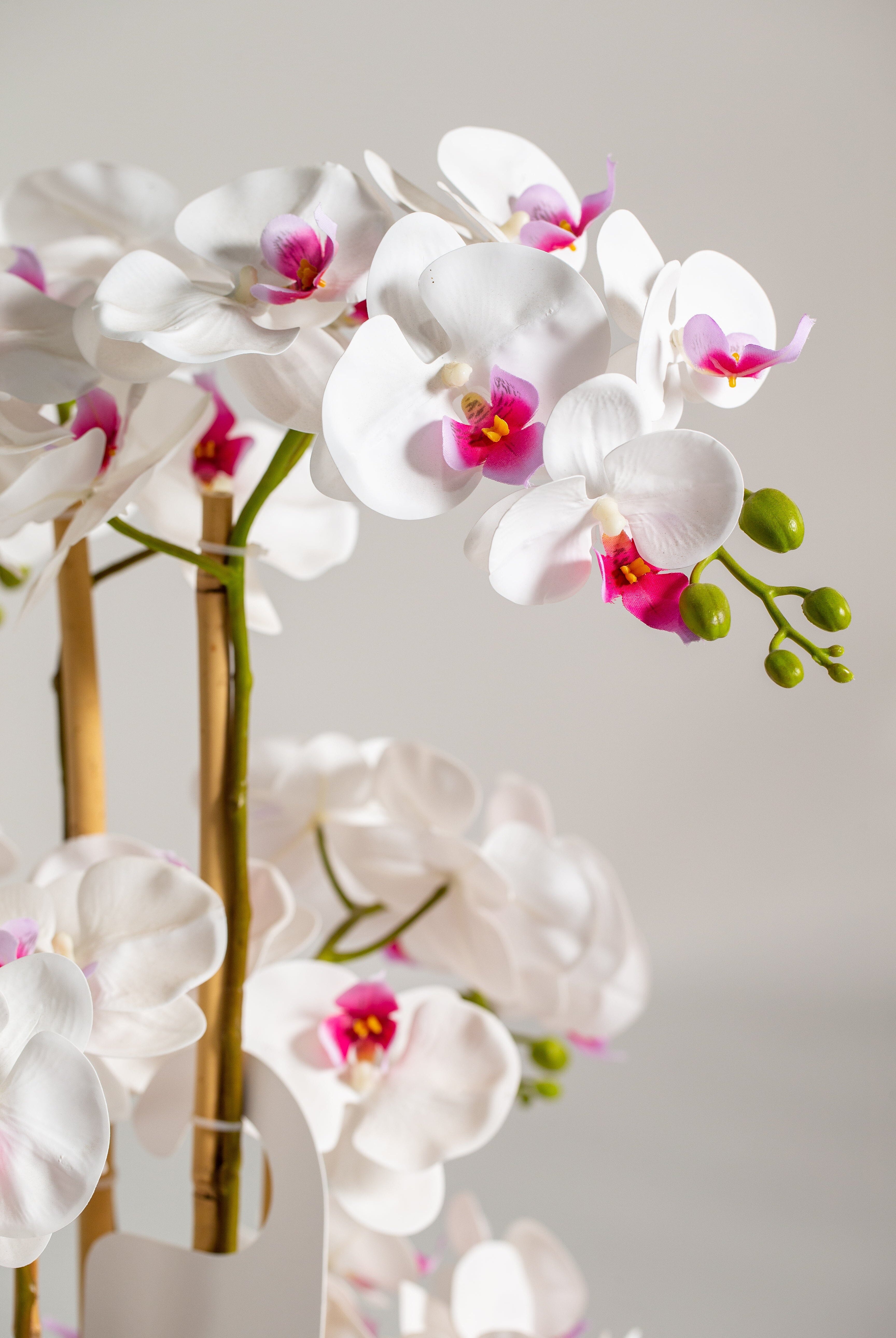 Orchidificial Plant (Pot not included) Homekode