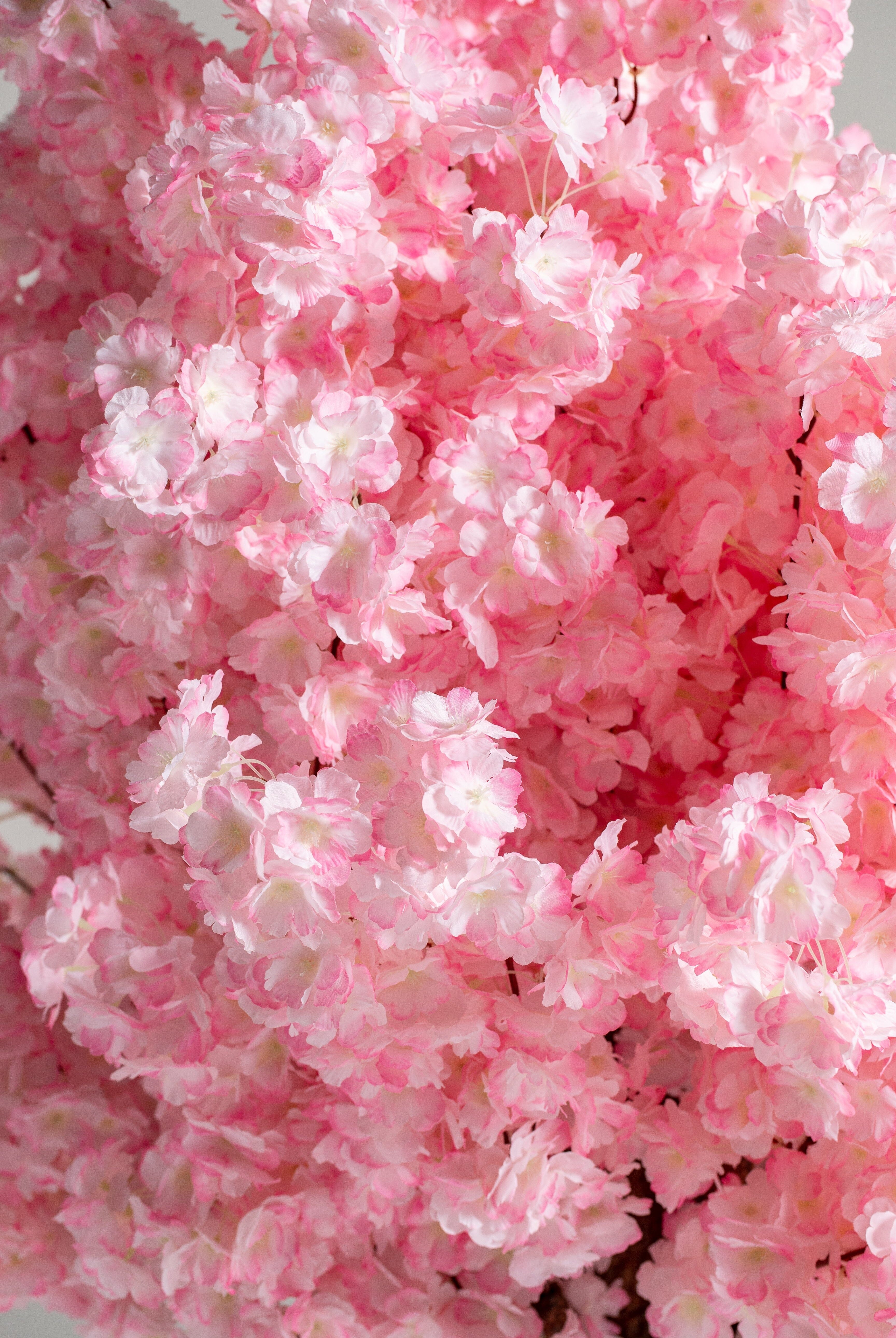 Pink Cherry Blossom (Pot not included) Homekode