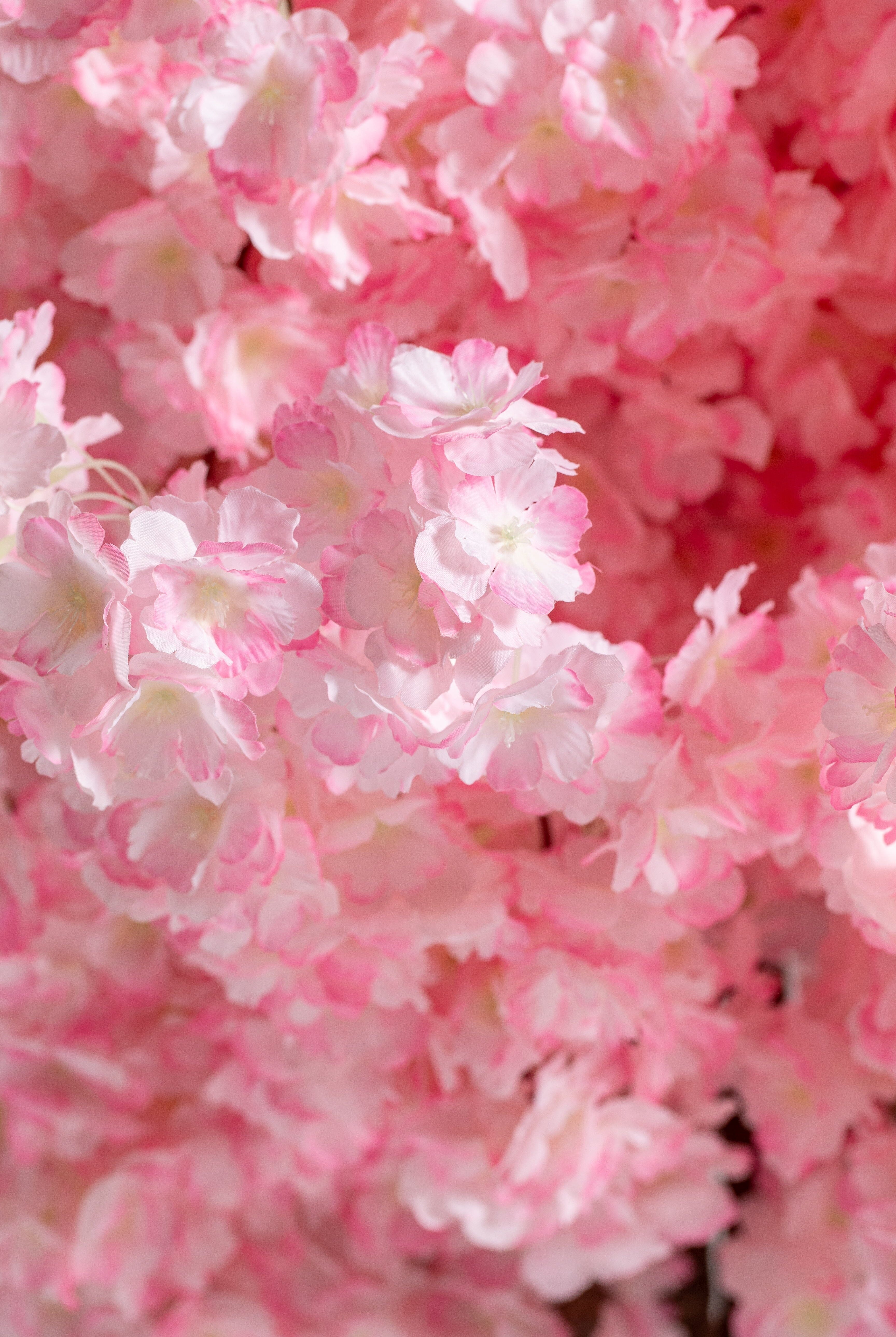 Pink Cherry Blossom (Pot not included) Homekode