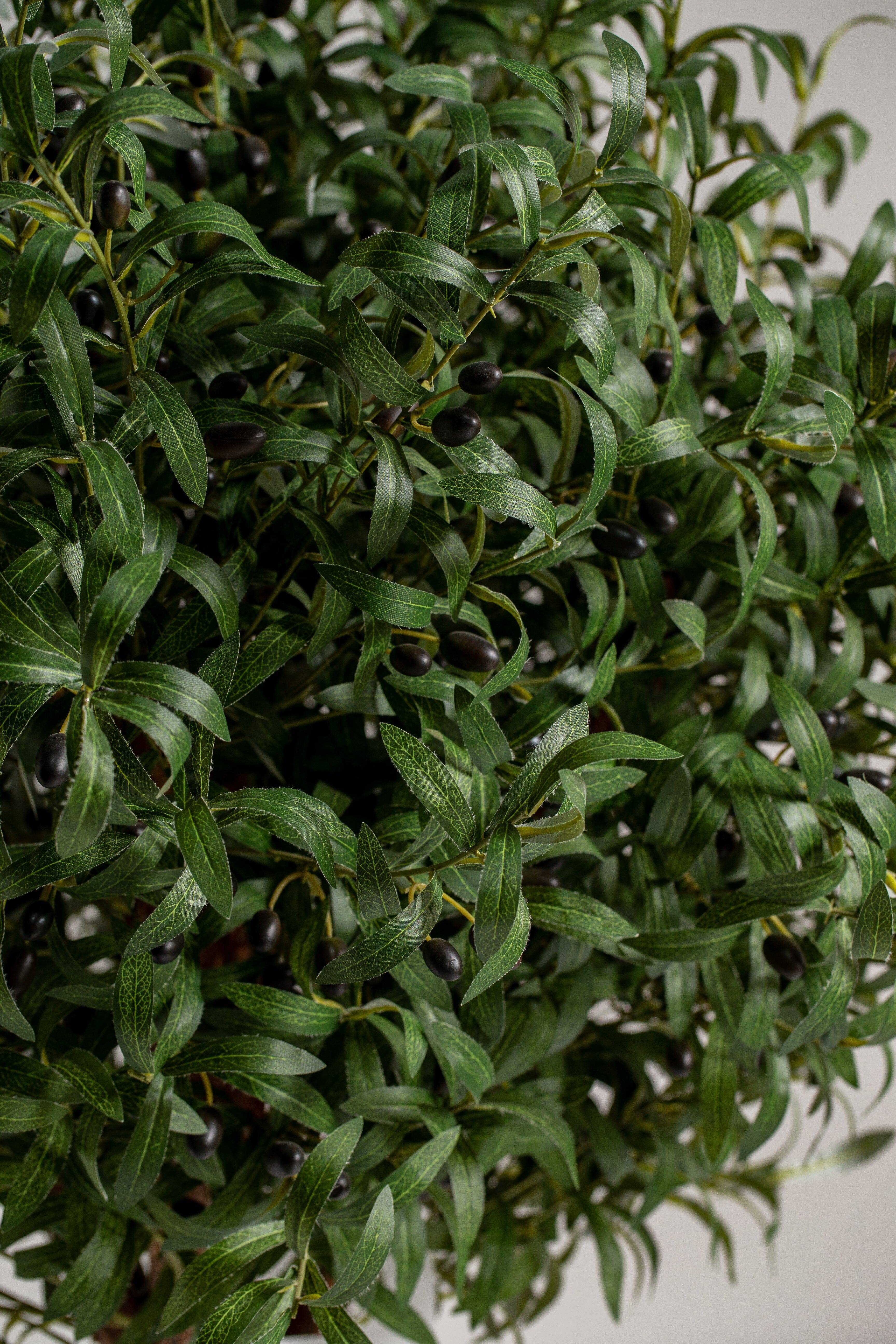 Oliveificial Tree (Pot not included) Homekode