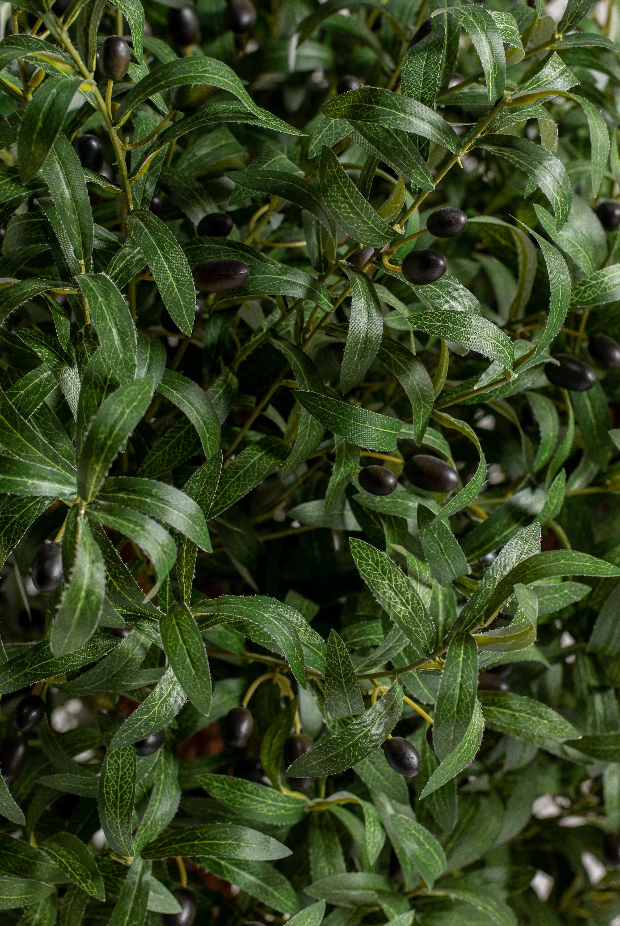 Oliveificial Tree (Pot not included) Homekode