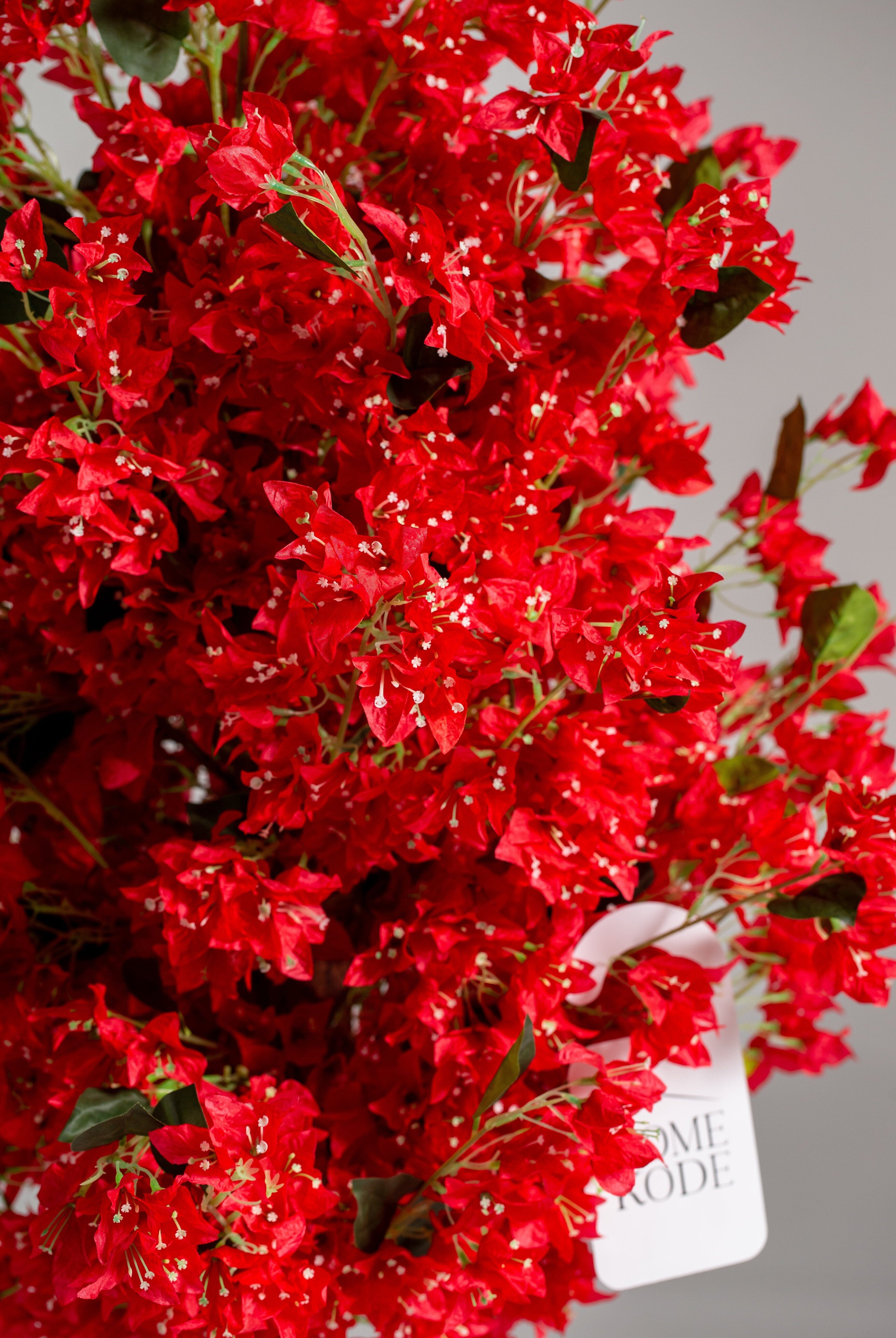 Red Cherry Blossom (Pot not included) Homekode