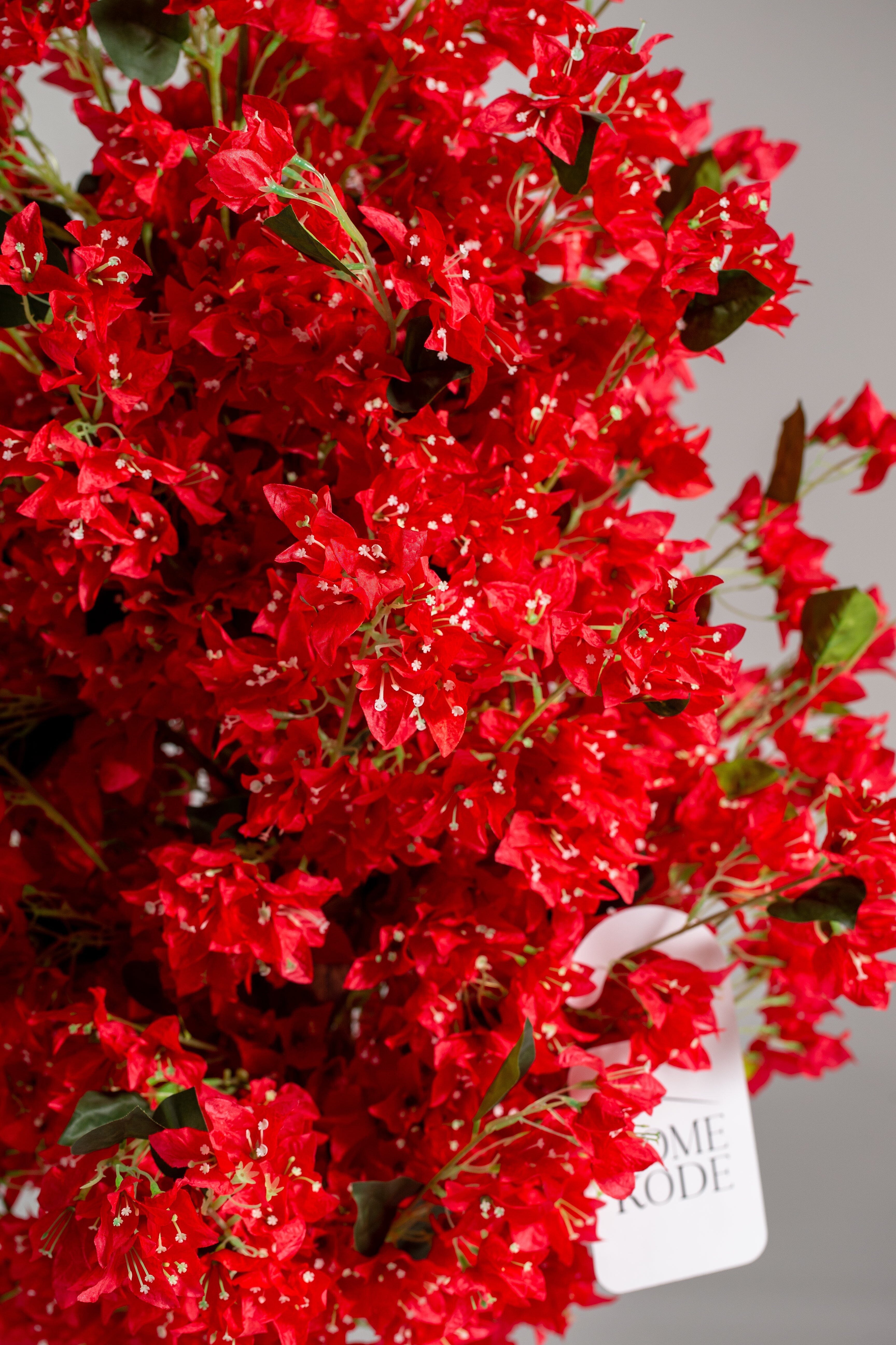 Red Cherry Blossom (Pot not included) Homekode