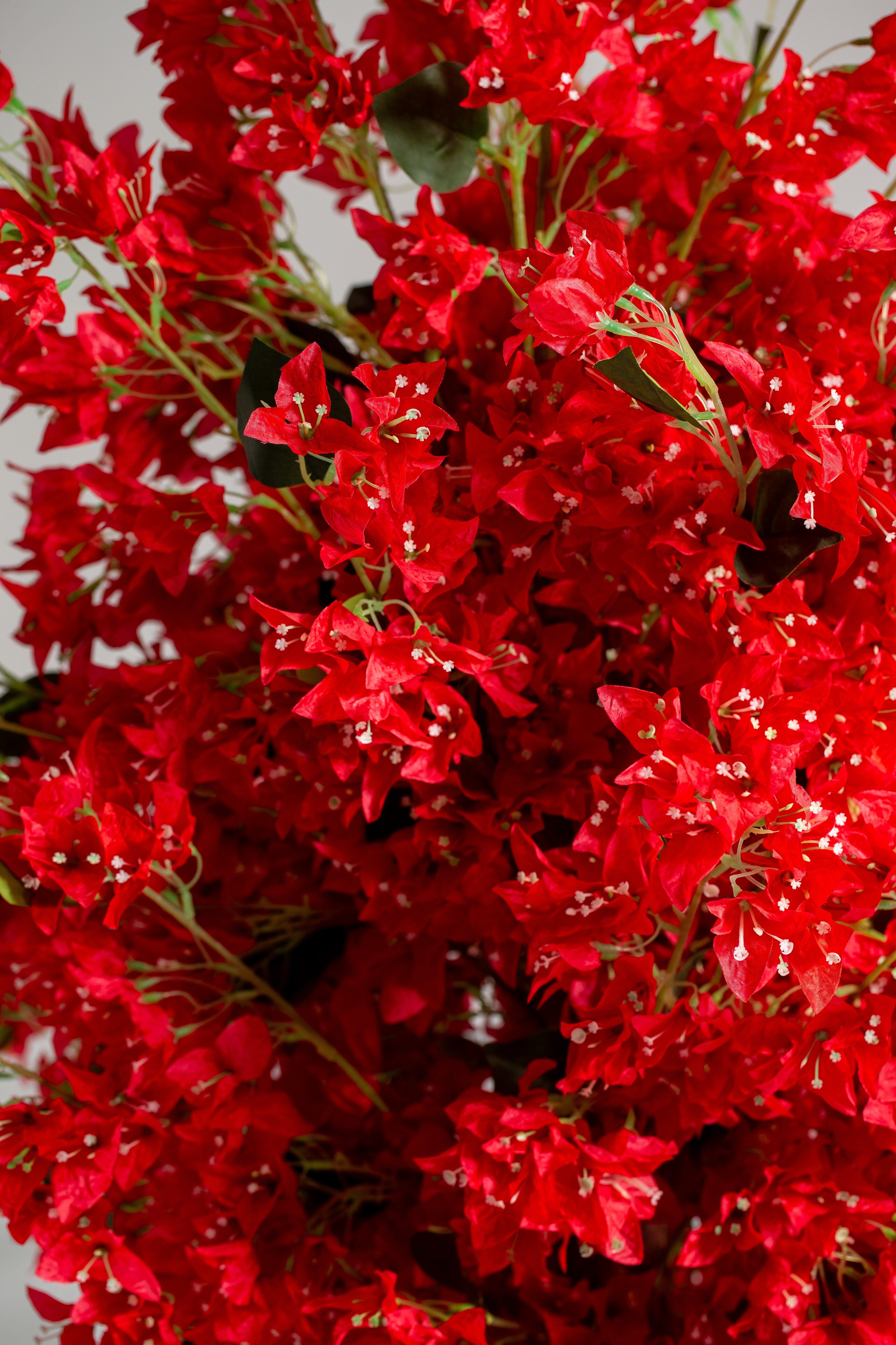 Red Cherry Blossom (Pot not included) Homekode