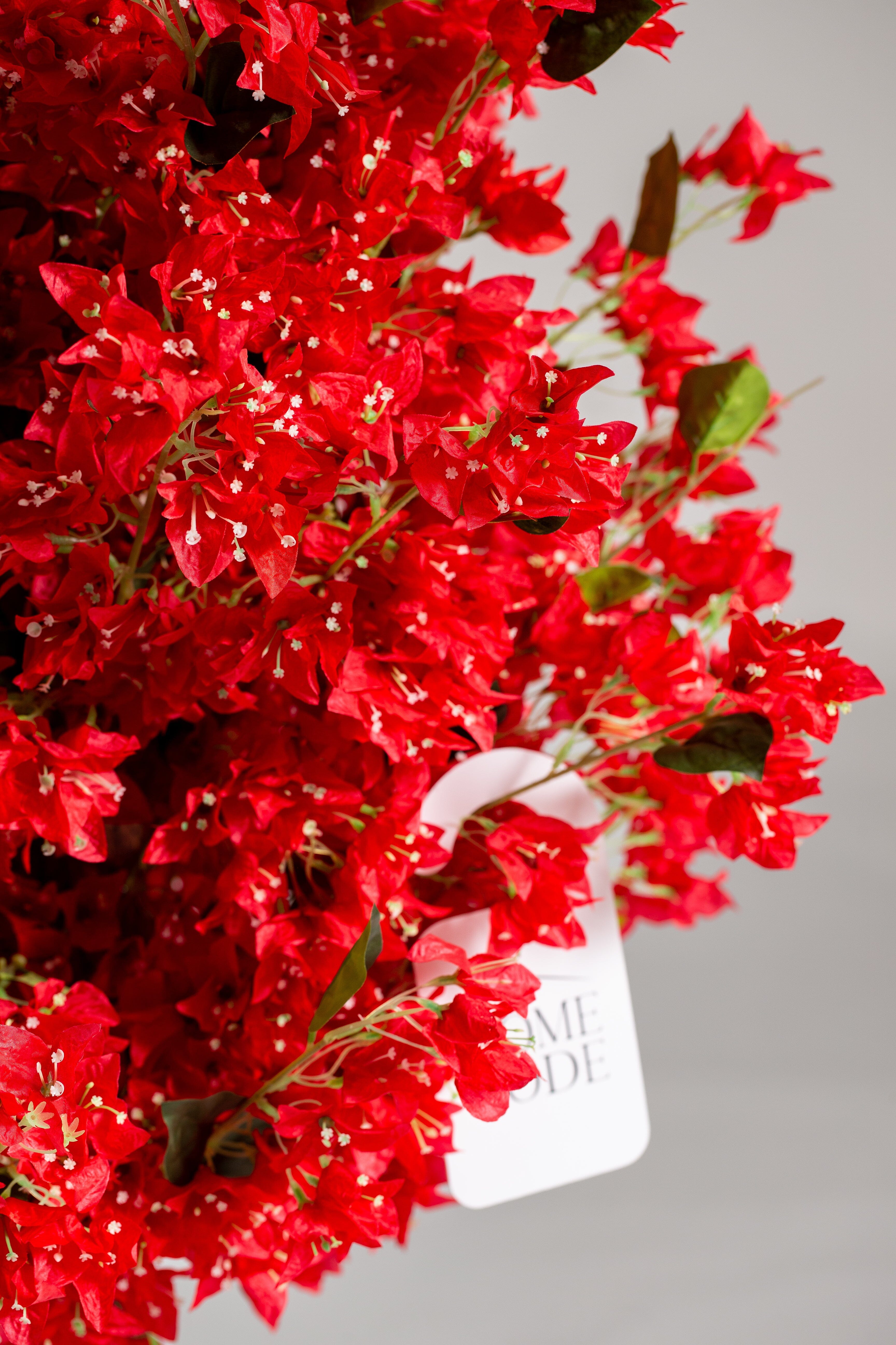 Red Cherry Blossom (Pot not included) Homekode