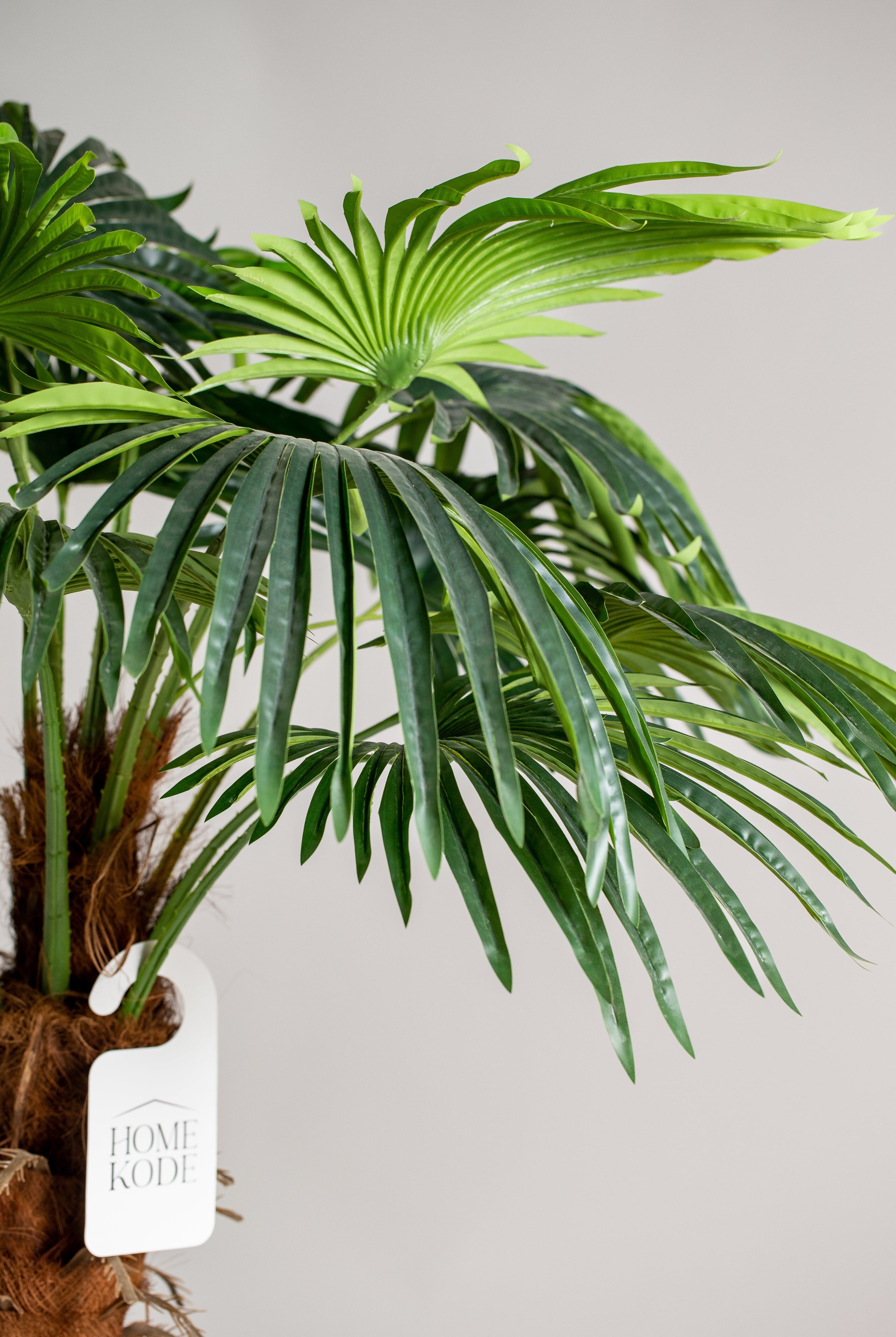 9.5 Ft Double Headed Palm Tree (Pot not included) Homekode