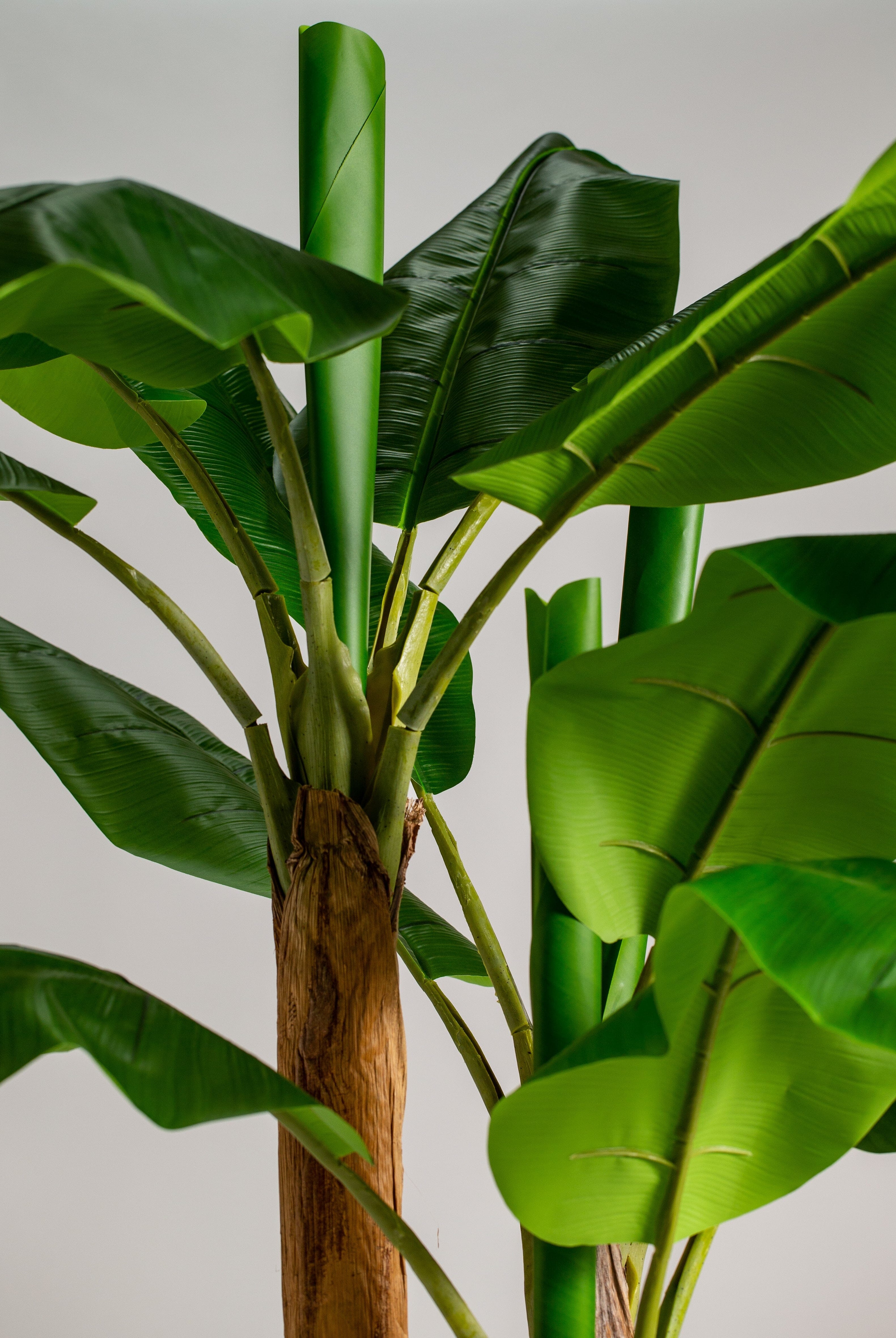 Bananaificial Plant (Pot not included) Homekode