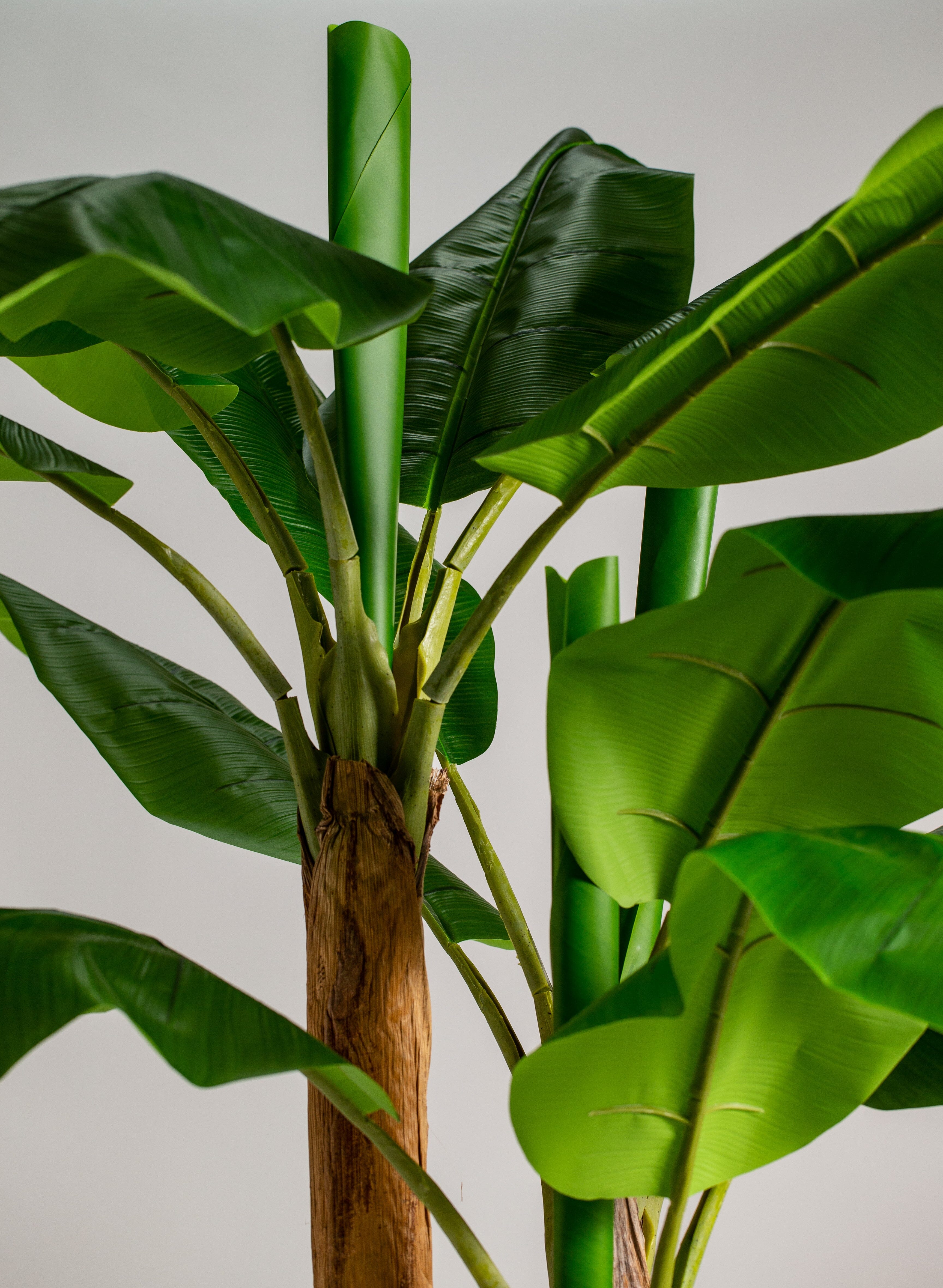 Bananaificial Plant (Pot not included) Homekode