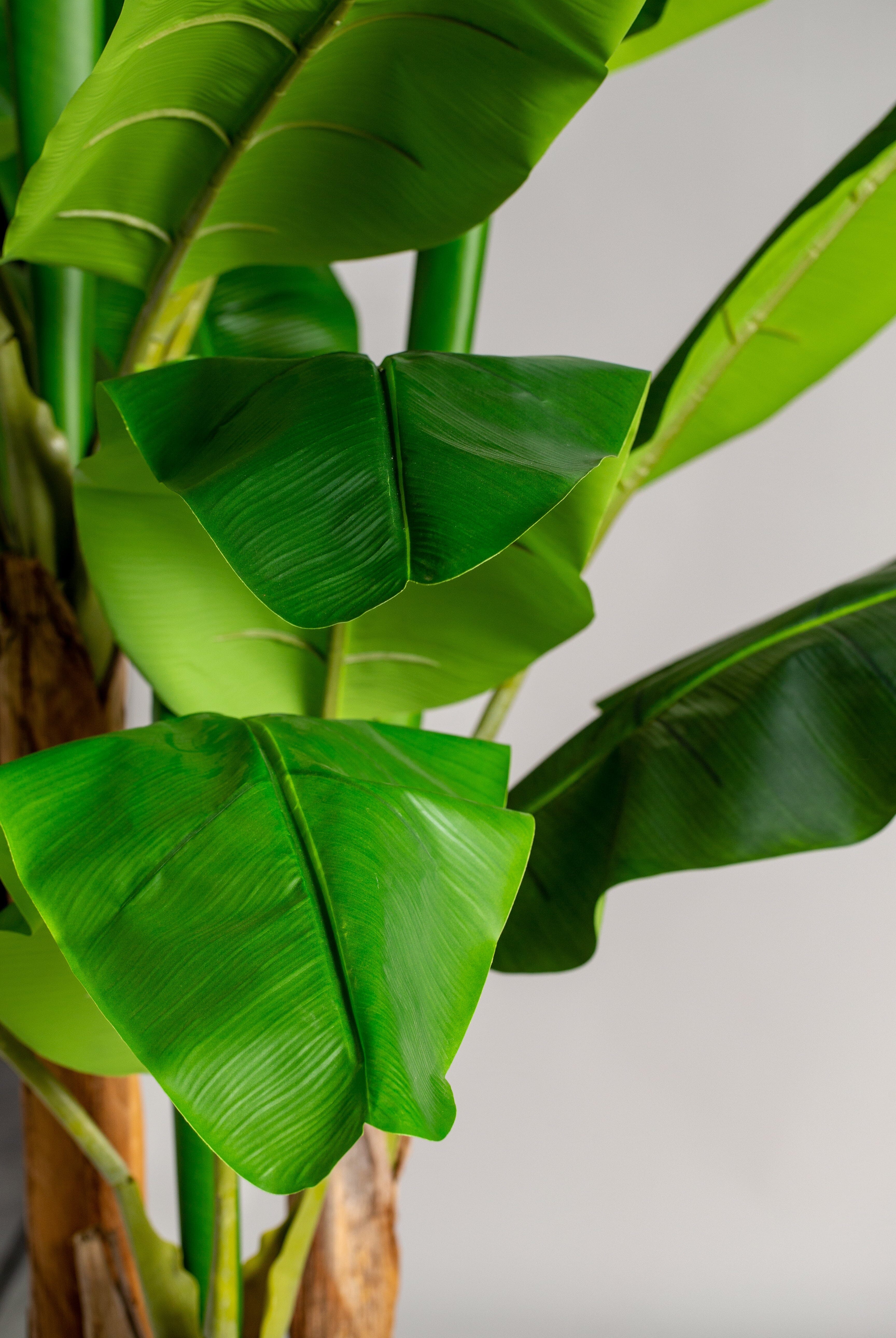 Bananaificial Plant (Pot not included) Homekode